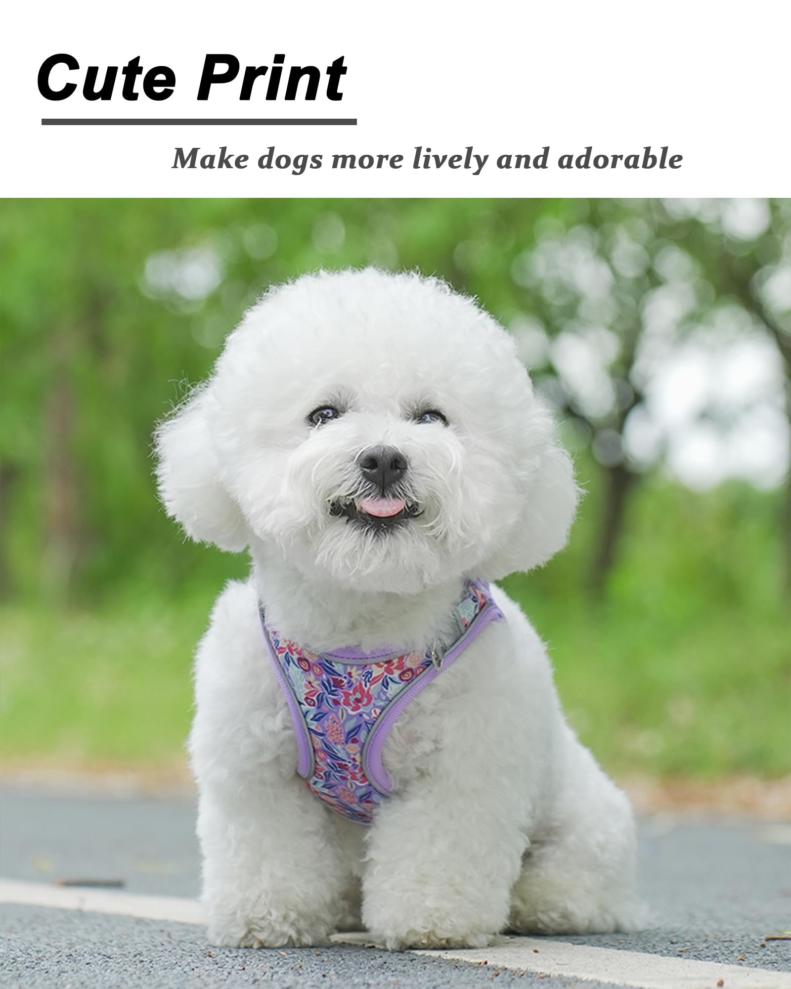 JUFOO M Light Purple Flower Pattern Dog Harness and Leash Set,No Escape Easy Walk Puppy Harnesses for Training Walking,Breathabl