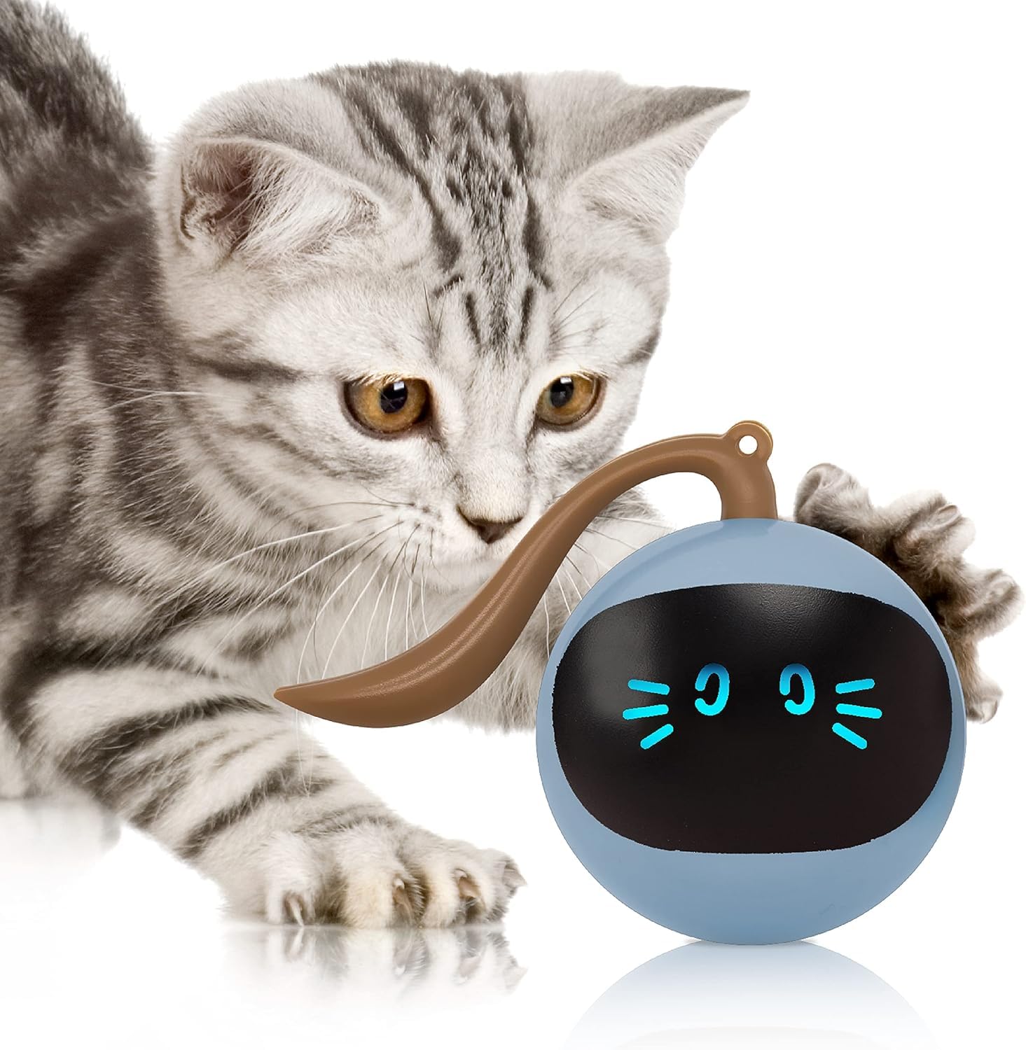 Drucila Cat Toys 360Self Rolling Ball Toy Interactive Toys Cat Wand Teaser Toys Usb Charging Hunting Exercise Toys Indoor Gifts 