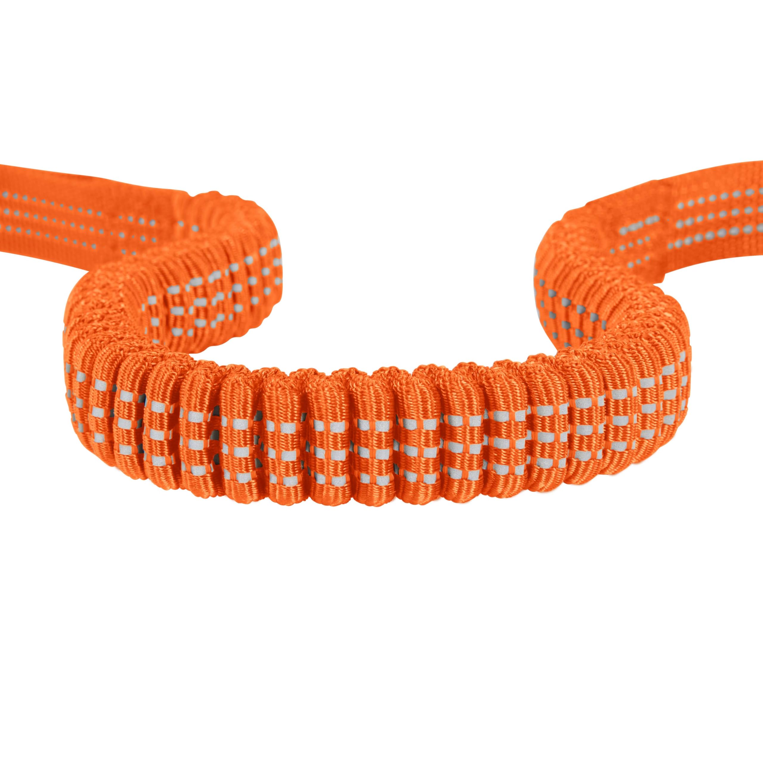 Carhartt Pet Durable Nylon Webbing Shock Absorbing Leash for Dogs, Reflective Stitching for Visibility, Hunter Orange, Large
