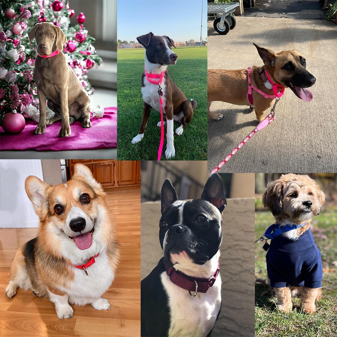 Choker Collar For Dogs, No Pull Martingale Dog Collar Escape Proof Cinch Dog Training Collars Adjustable For Small Medium Large