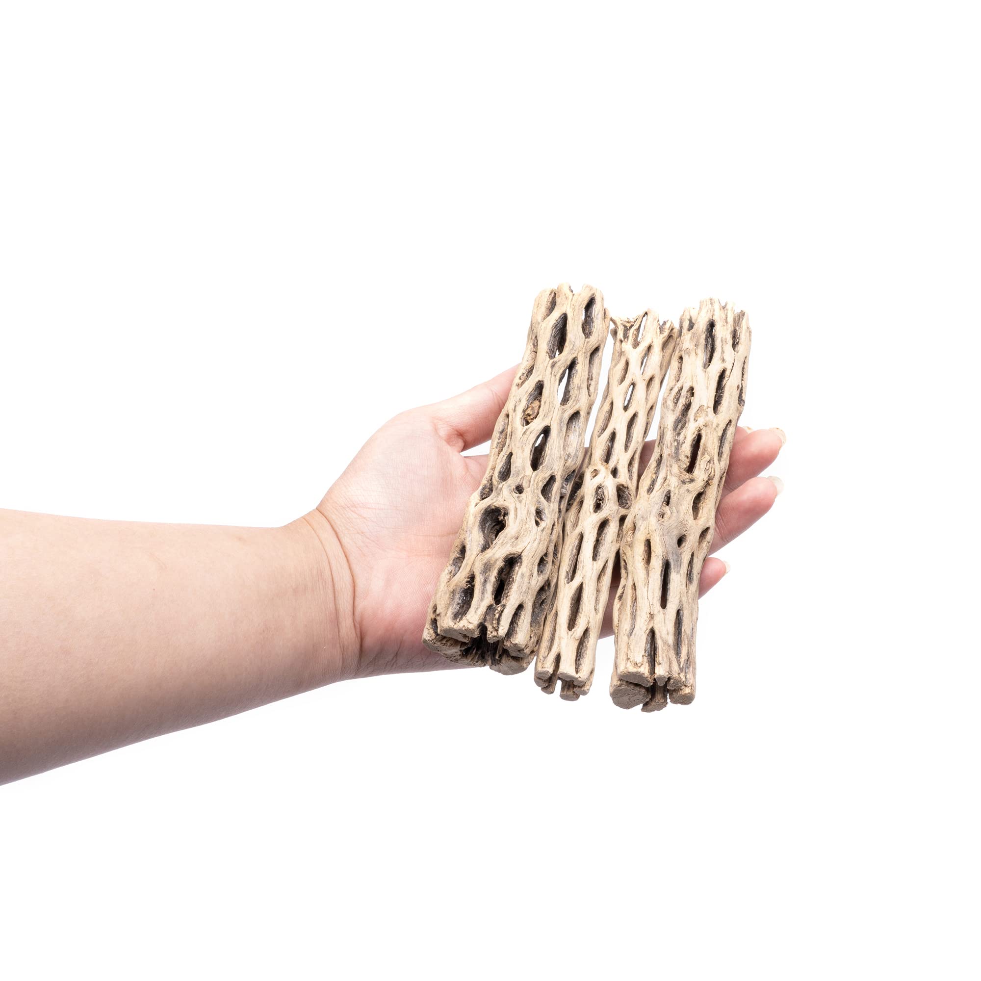 SubstrateSource Natural Cholla Wood Logs - Driftwood for Aquariums, Fish Tanks, Shrimp, Hermit Crabs, Reptiles - 4 and 6 Inch Pi