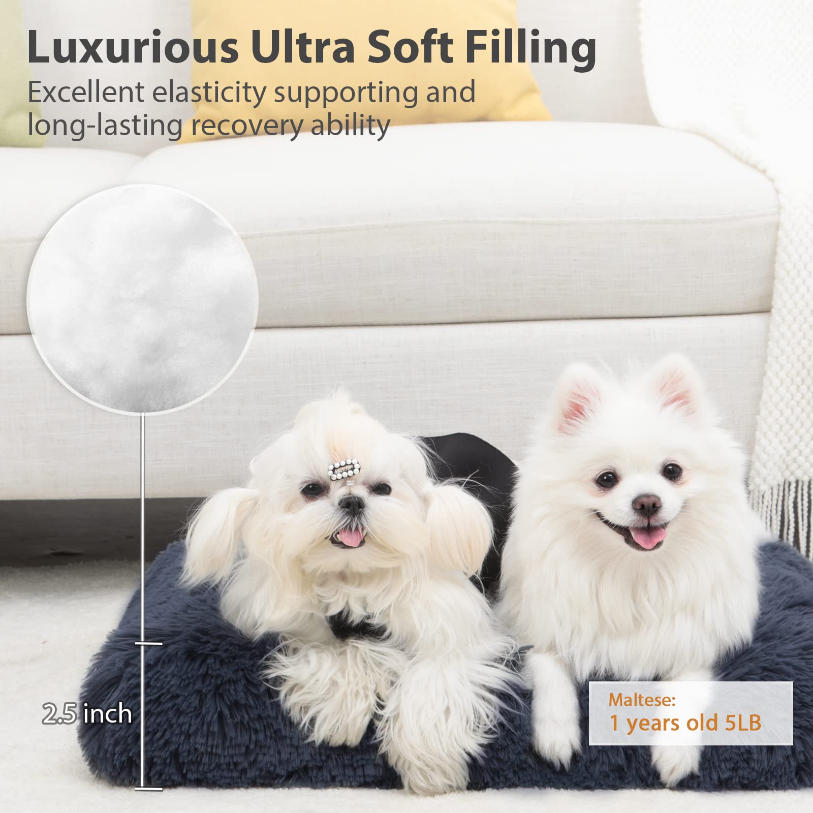 Champets Washable Dog Bed For Crate 29''X21'',Large Dog Bed Washable For Small,Medium,Large,Extra Large Dogs Cats Pet,Waterproof