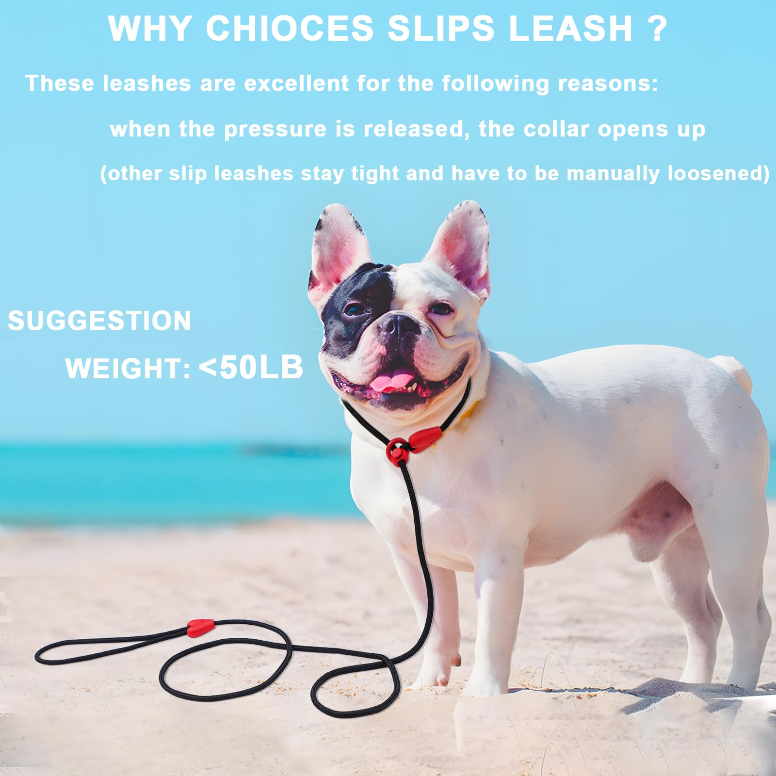 Slip Lead Dog Leash Slip Lead 6 FT Dog Training Leash 9 Colors Slip Leads for Dogs Dog Leashes for Medium Dogs No Pull Dog Leash