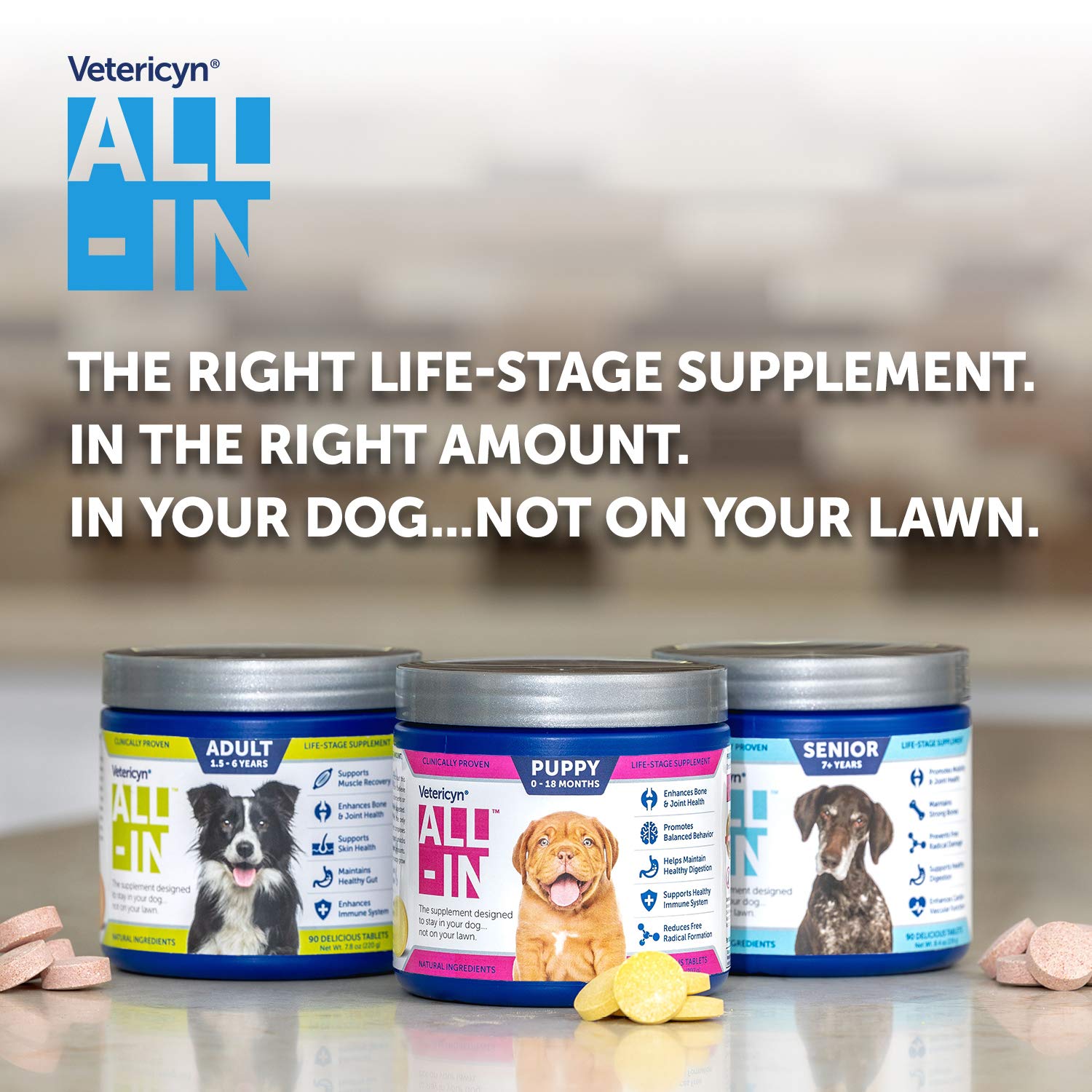 INV SPLMT ALL-IN PUP 90CT