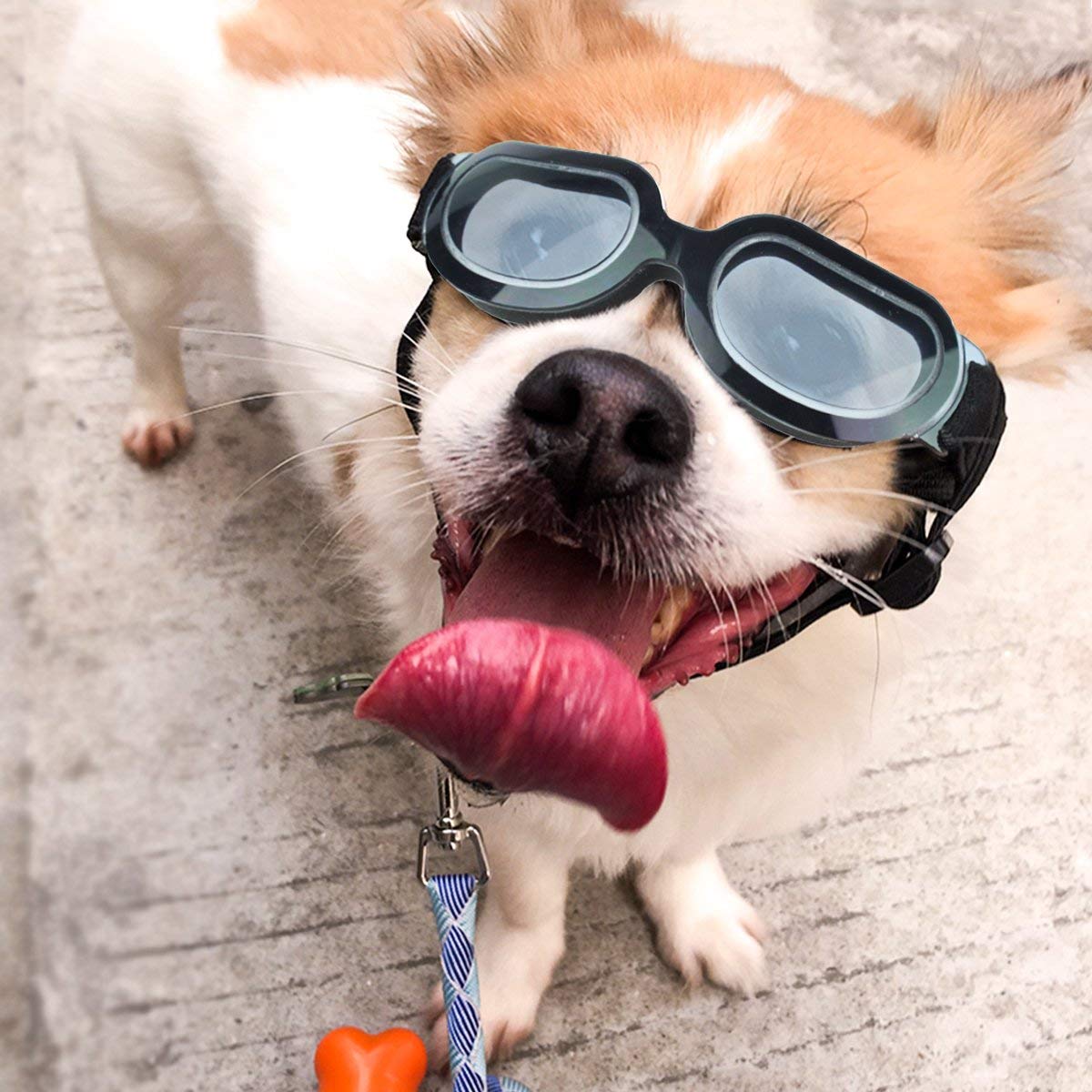 Enjoying Dog Sunglasses Small Breed, Anti-Uv Goggles For Dogs Small Breed, Rides Doggy Goggles, Impact/Wind/Dust Proof Dog Glasses For Small Dogs Eye Protective, Cool Black
