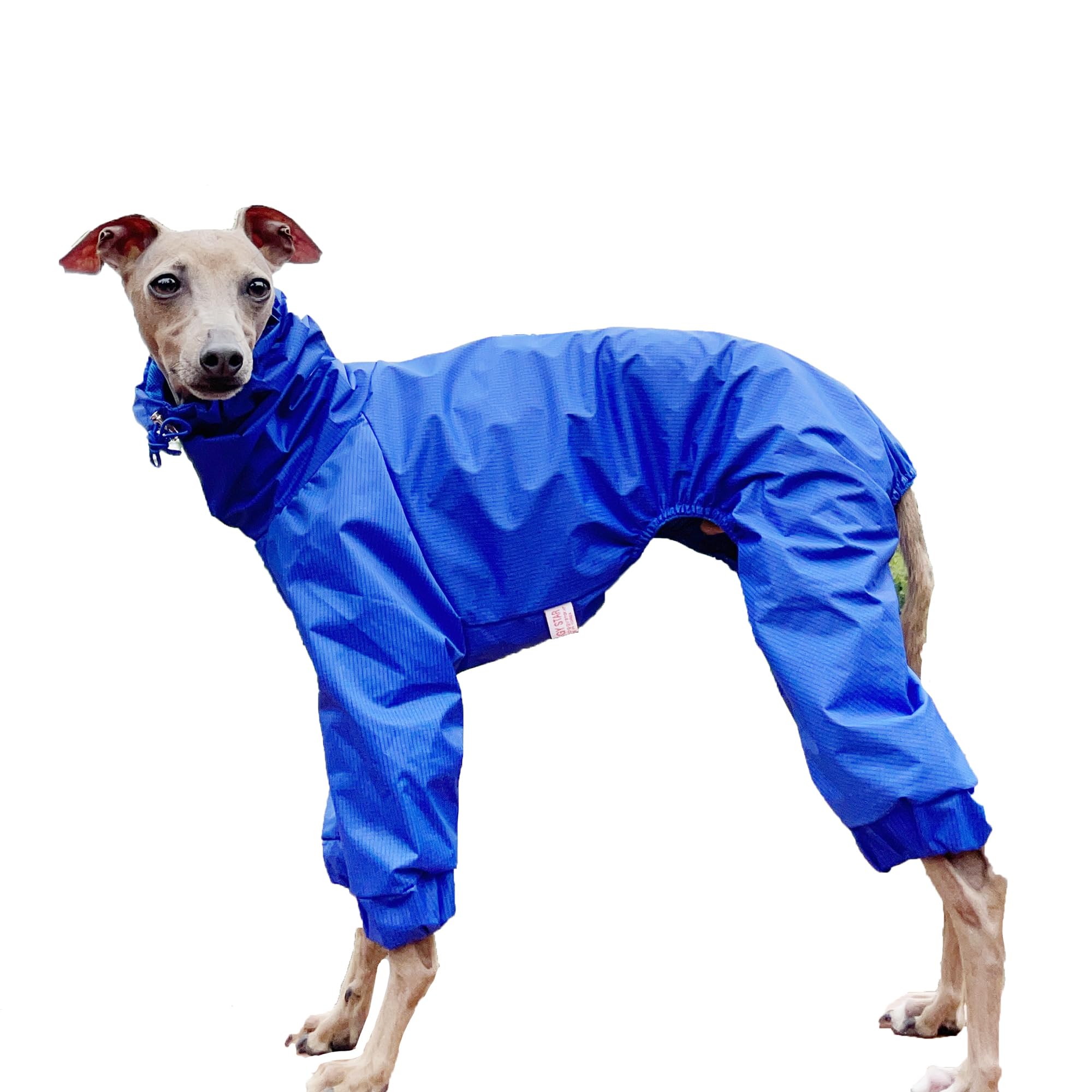 D Doggy Star Italian Greyhound Raincoat Waterproof Jacket Windbreaker Clothes Whippet For Dog (S,Raincoat Blue)
