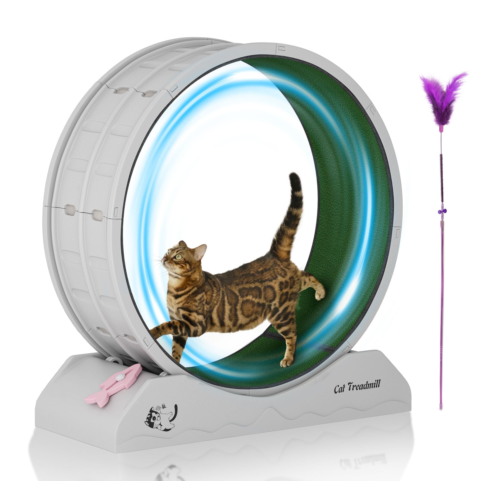 DAUSOLA Cat Exercise Wheel, 31.5 Inch Cat Treadmill for Indoor Cats, Cats Running Wheel with Updated Enhanced Base and Carpeted 