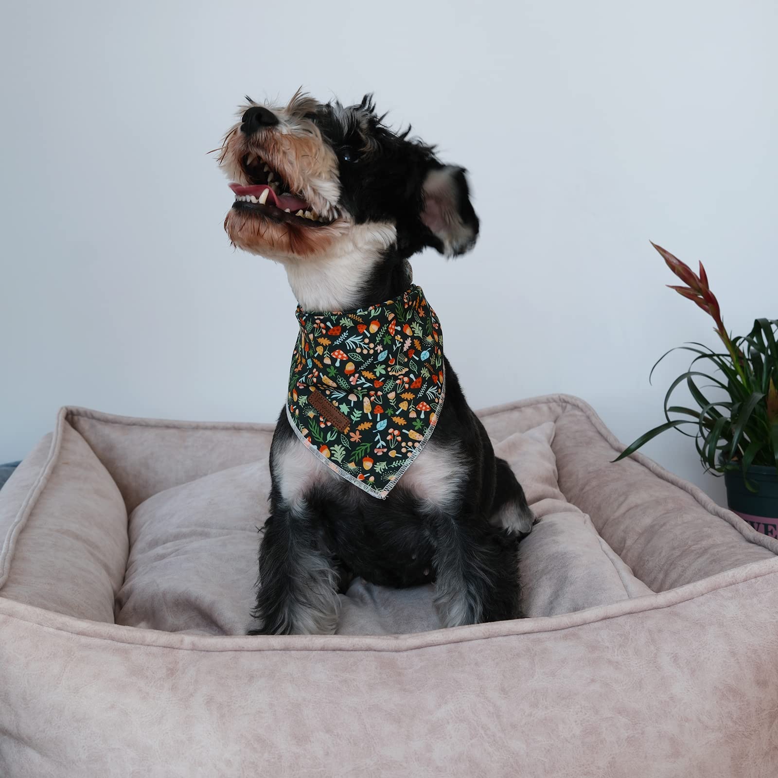 Fall Dog Bandana, Up Urara Pup Puppy Bandana For Small,Medium Dog, Comfortable Cotton Triangle Bid Scarf Dog, Pet Kerchief For G