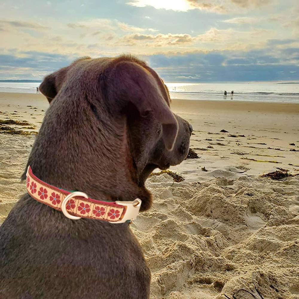 YUDOTE Woven Dog Collar with Metal Buckle Adjustable Jacquard Fall Dog Collars for Small Medium Large Dogs(Brick Red,S)