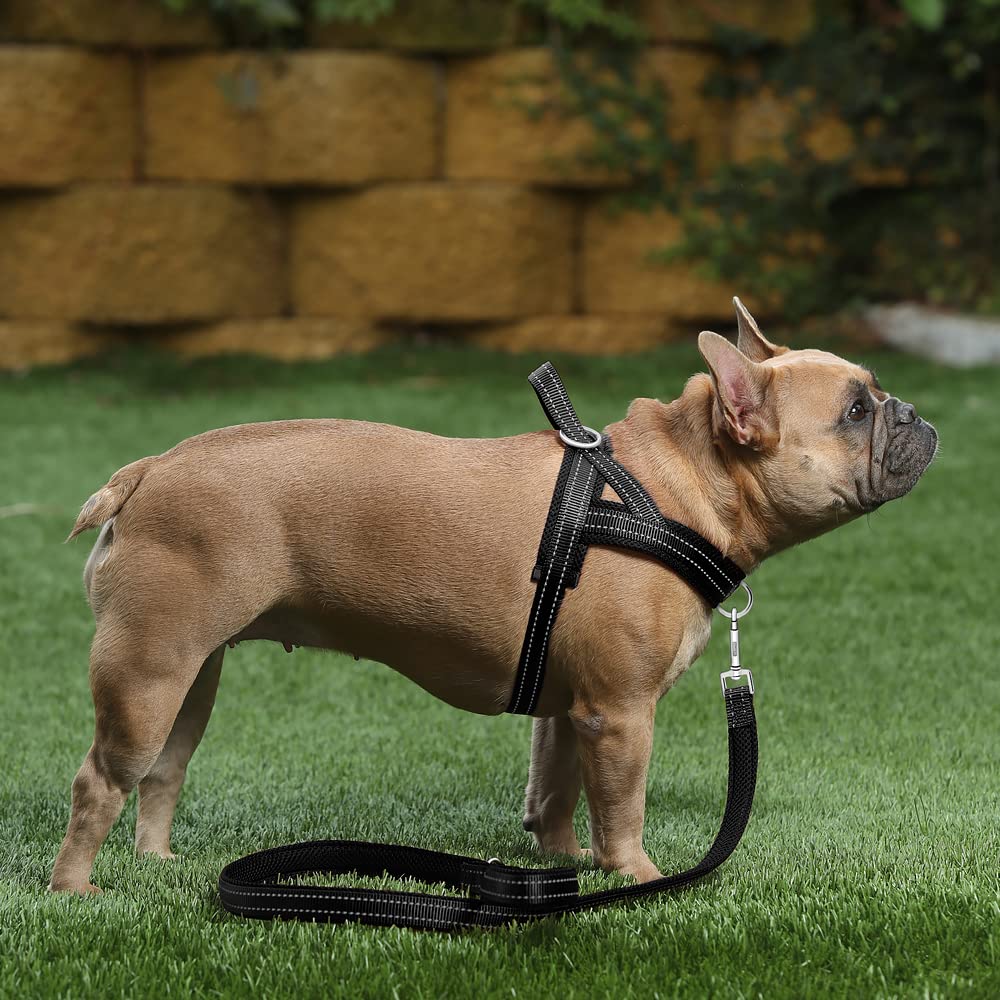 Plutus Pet No Pull Dog Harness With Breathable Mesh Padded, Adjustable Reflective Escape Proof Dog Harness, Quick Fit Dog Vest Harness For Small Medium Large Dogs(M, Black)