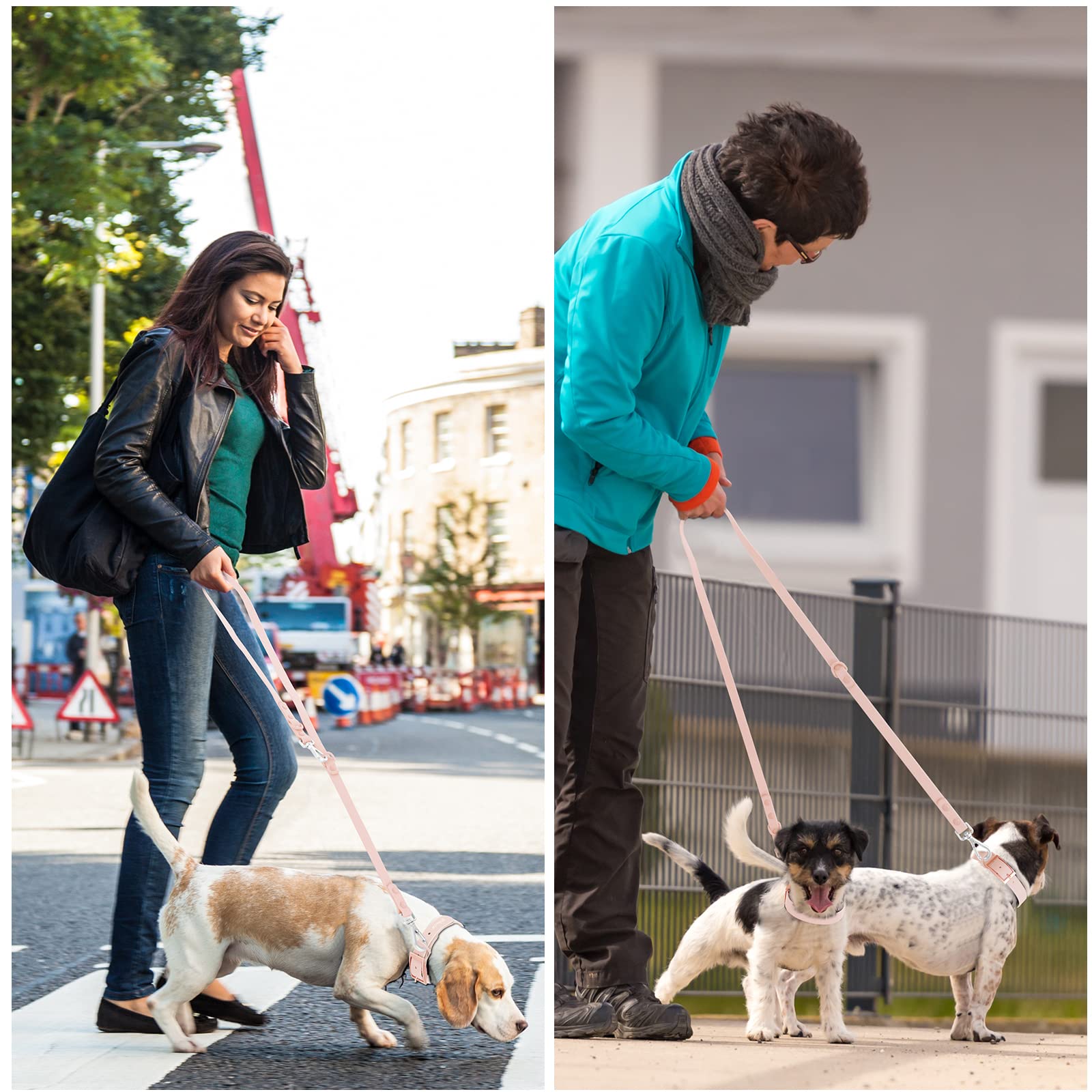 Waterproof Dog Leash: Standard Dog Leashes With 2 Hooks For Walking, Adjustable Lengths For Traffic Control Safety, Durable And Odor Proof, For Medium Large Dogs (L|3/4 In × 6 Ft, Gossamer Pink)