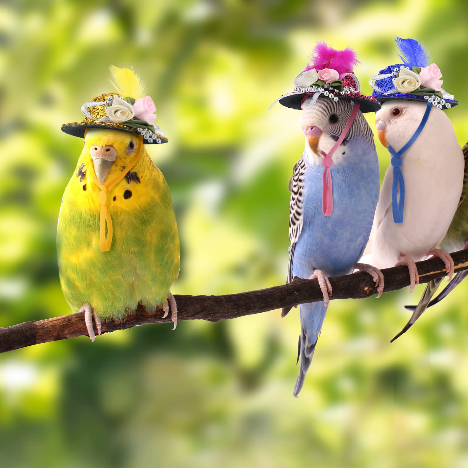 6 Pieces Chicken Hats For Hens Tiny Pets Funny Halloween Accessories Feather Top Hat With Adjustable Elastic Chin Strap Rooster Duck Parrot Poultry Stylish Show Costume (Novelty Style)