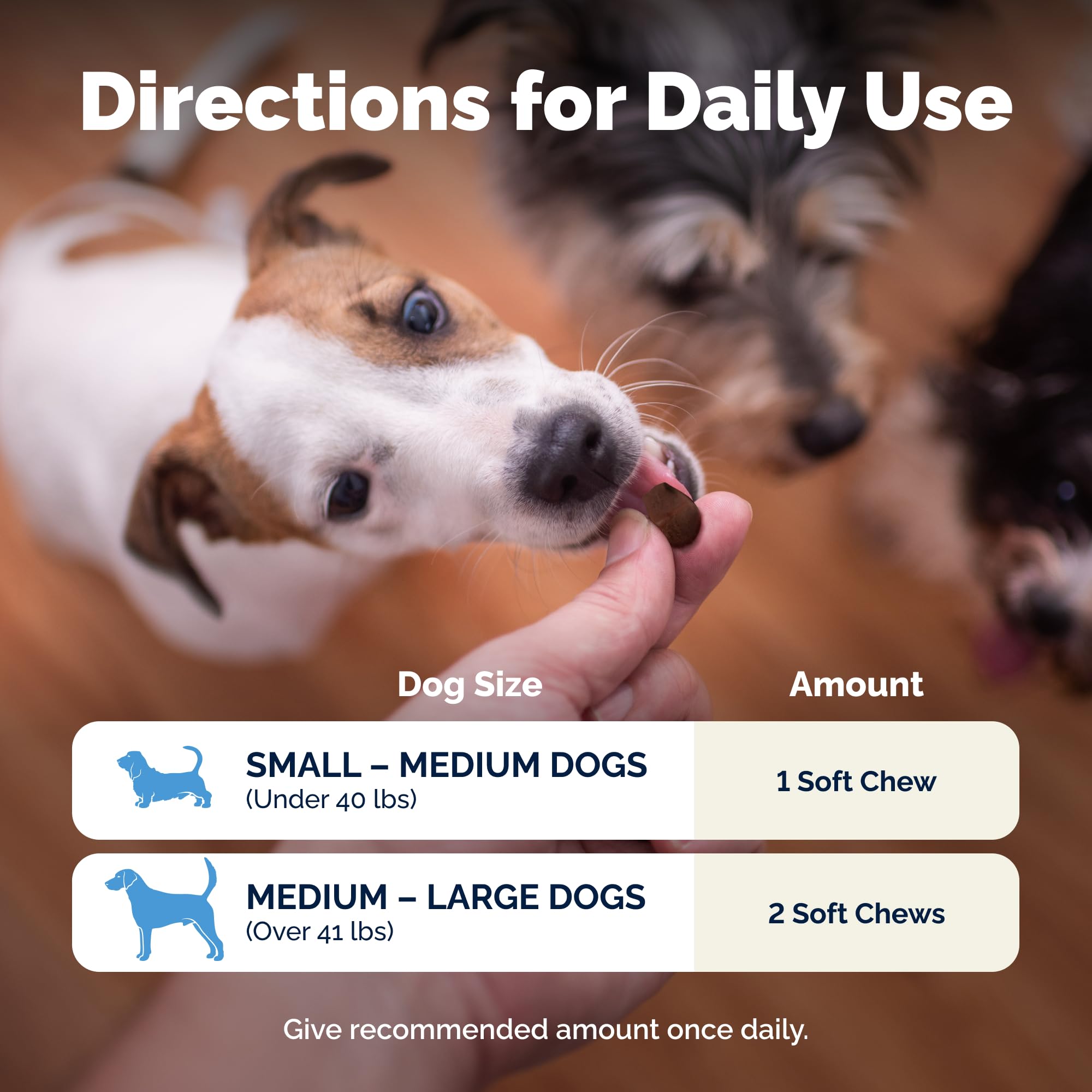 Vetnique Glandex Daily Probiotics for Dogs with Prebiotics to Support Gut Health with Fiber and Digestive Enzymes, Probiotic Che