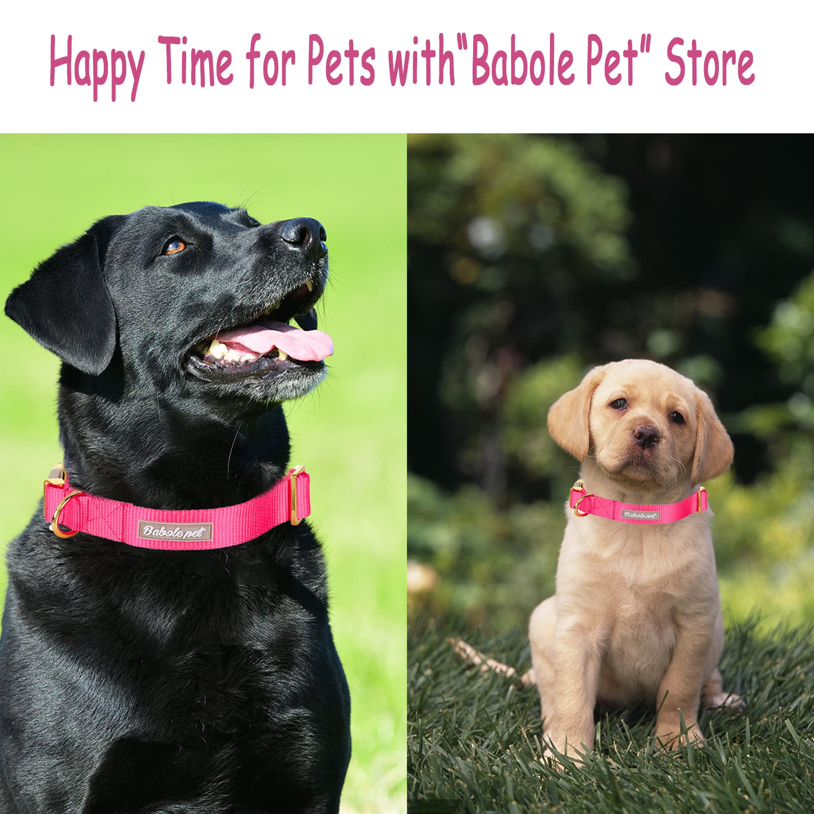 Babole Nylon Dog Collars Red For Small Puppy Dog,13 Colors,Adjustable Soft Comfortable Pet Collars With Safety Metal Buckle For Medium Large Boy&Girl&Female Dog(Rose Red,S)