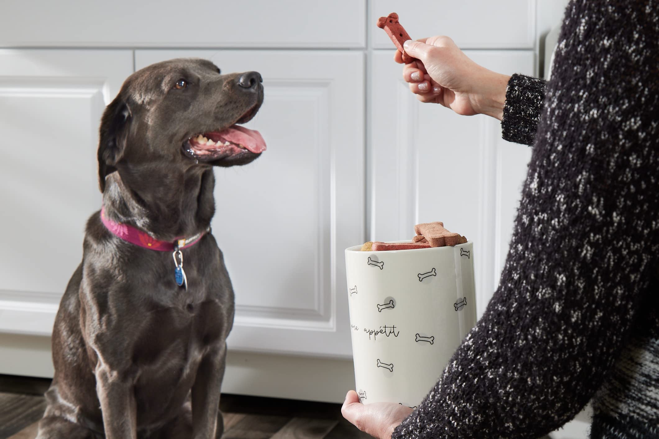 Pearhead Ceramic Dog Treat Jar - Modern Neutral Color, Dishwasher Safe, Silicone Seal Lid, Model 50221