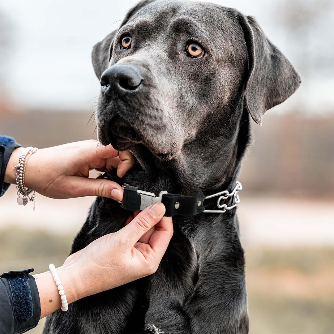 Herm Sprenger Prong Collar For Dog Training With Easy Quick Release Cliclock & Oring - German Made Dog Collar With Chrome Plated