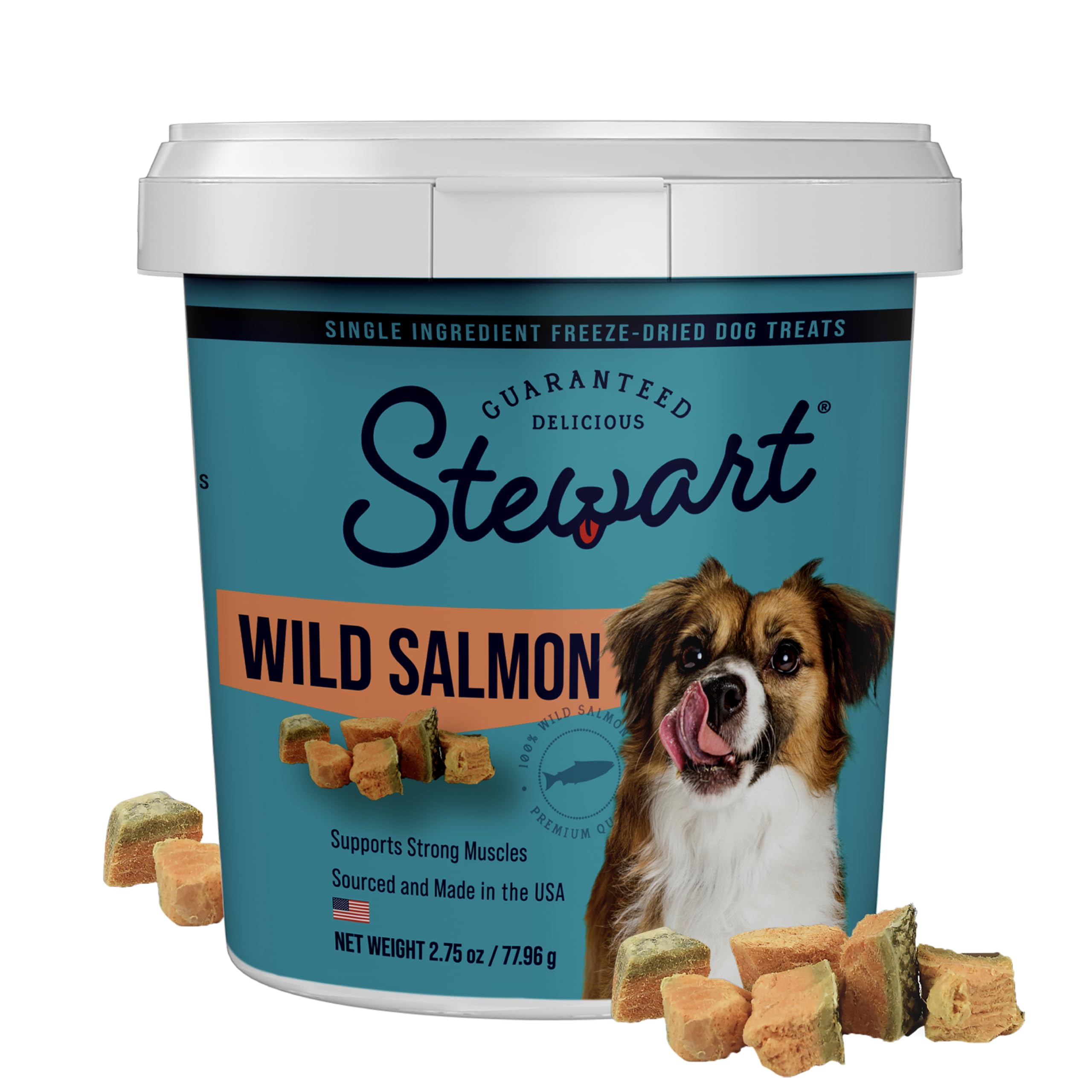 Stewart Wild Salmon Dog Treats, 2.75 oz, ~55 Pieces, Freeze Dried Raw, Single Ingredient, 65% Protein Training Treats or Meal To