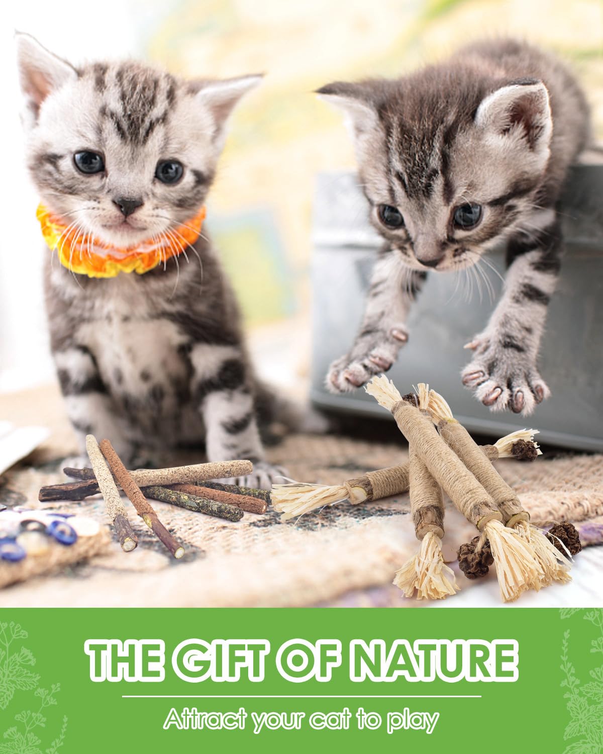 Tindtop Silvervine Sticks, 10 Pack Natural Catnip Chew Toys For Kittens Teeth Cleaning, Increase Appetite, Calm Anxiety And Stress, Aggressive Chewers Toy