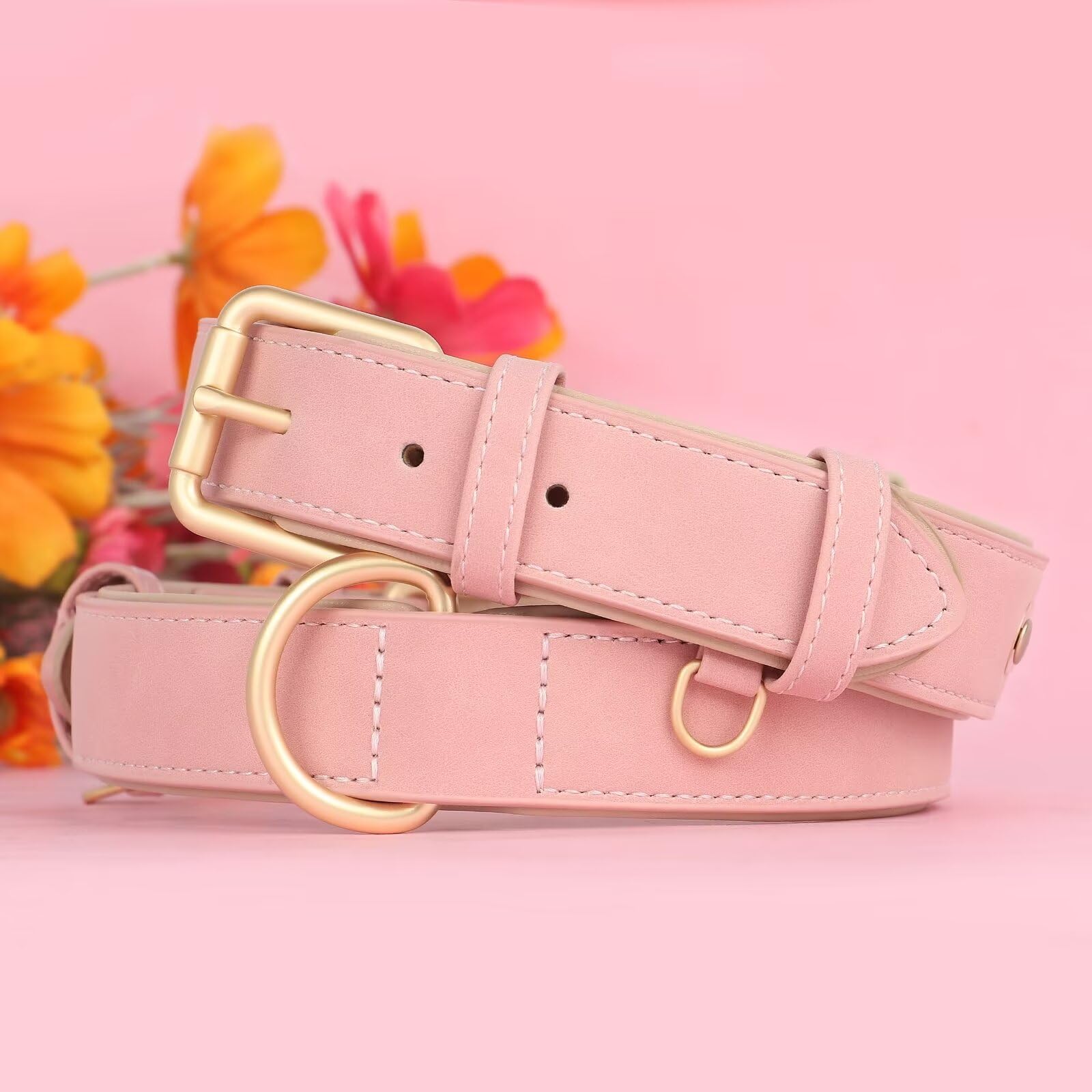 Didog Soft Padded Leather Dog Collar, Adjustable Pink Dog Collars For Medium Dogs With Heavy Duty Metal Buckle And D Ring,Pink,M