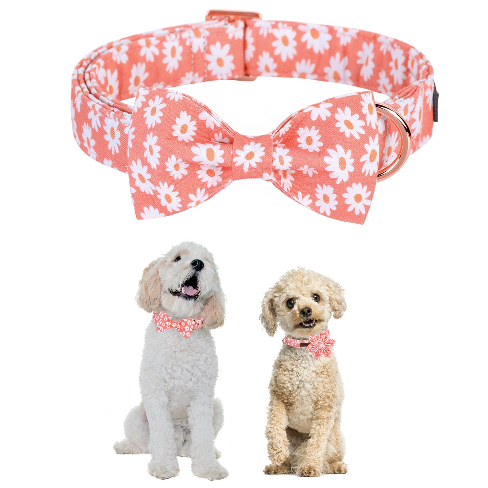 Unique Style Paws Dog Collar With Bow Tie Pink Daisy Summer Dog Collar For Small Medium Large Dogs With Adjustable Metal Buckle -S