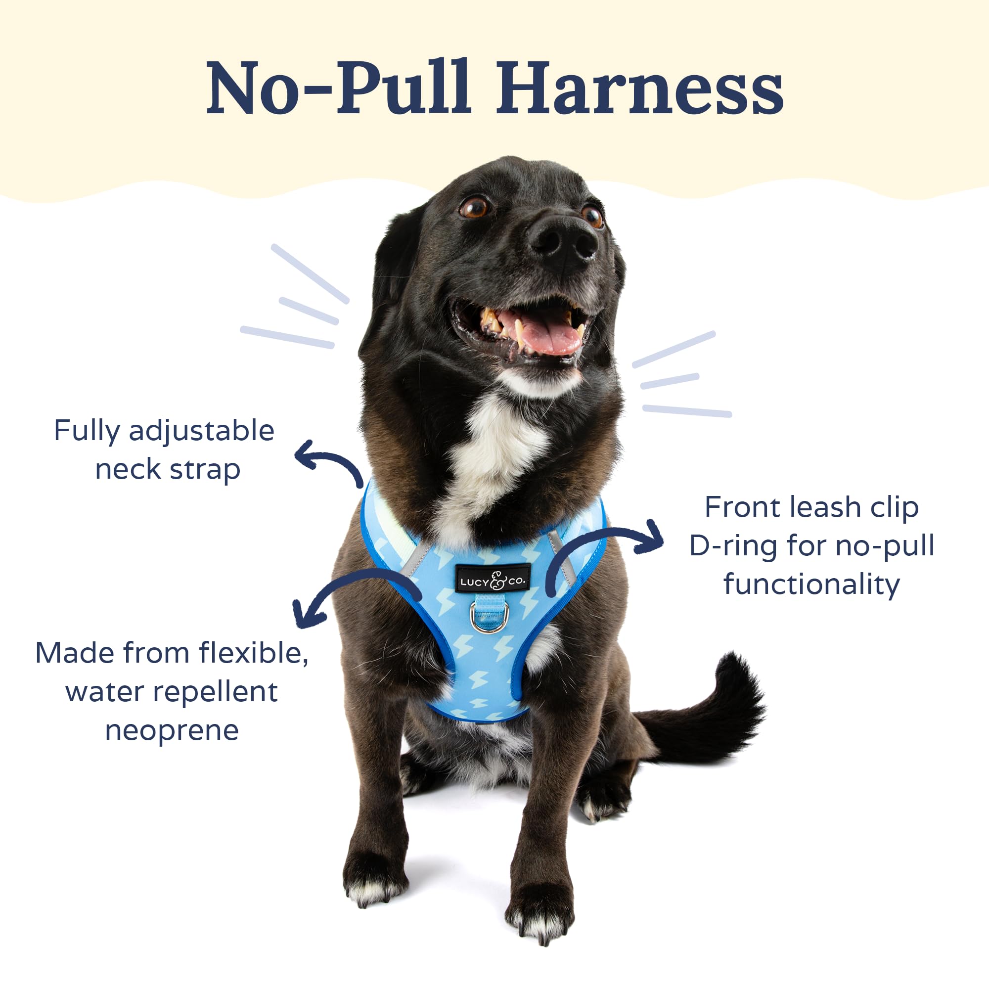 Lucy & Co. The Bolt of Lightning No-Pull Dog Harness - Size X-Small, Blue Green - Vest to Stop Pulling & Walk Easy - Comfortable