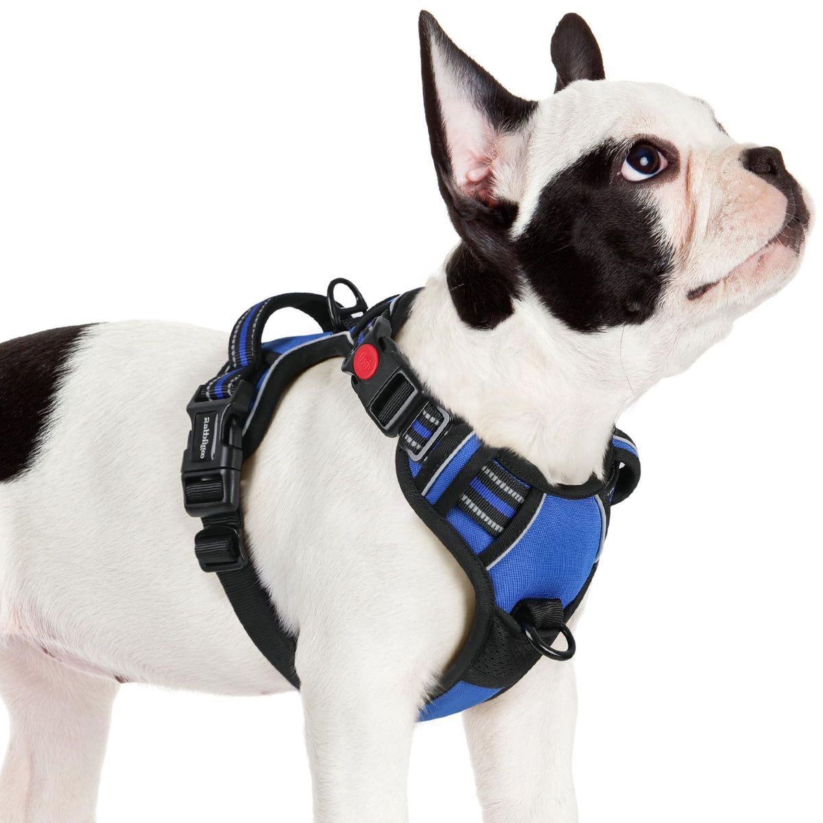 Rabbitgoo Dog Harness Small Sized, No Pull Pet Harness With 3 Buckles, Adjustable Soft Padded Pooch Vest With Instant Control Handle, Easy Walking Reflective Pet Vest For Small Dogs, Blue, S