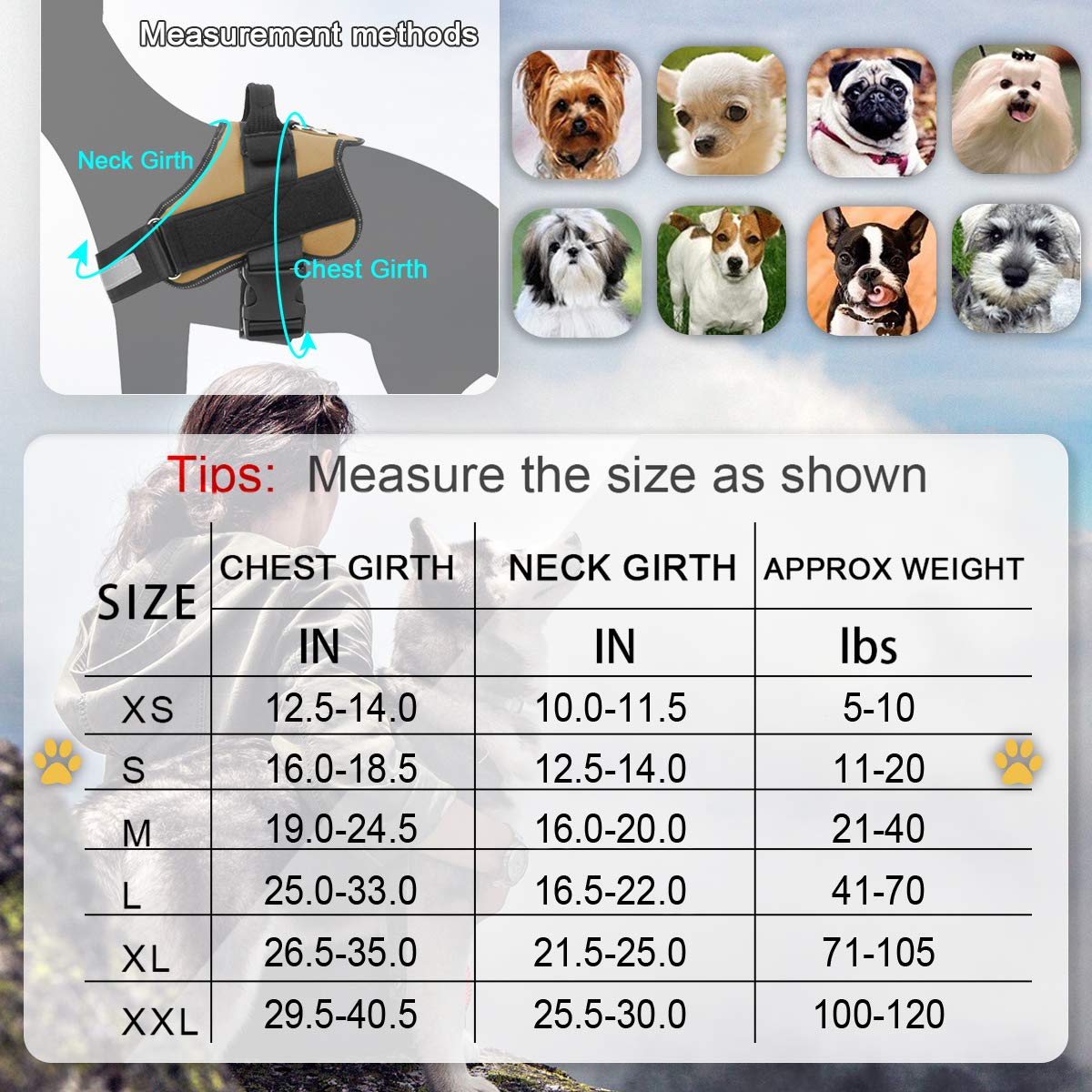 Bolux Dog Harness, No-Pull Reflective Dog Vest, Breathable Adjustable Pet Harness With Handle For Outdoor Walking - No More Pulling, Tugging Or Choking (Dark Green, S)