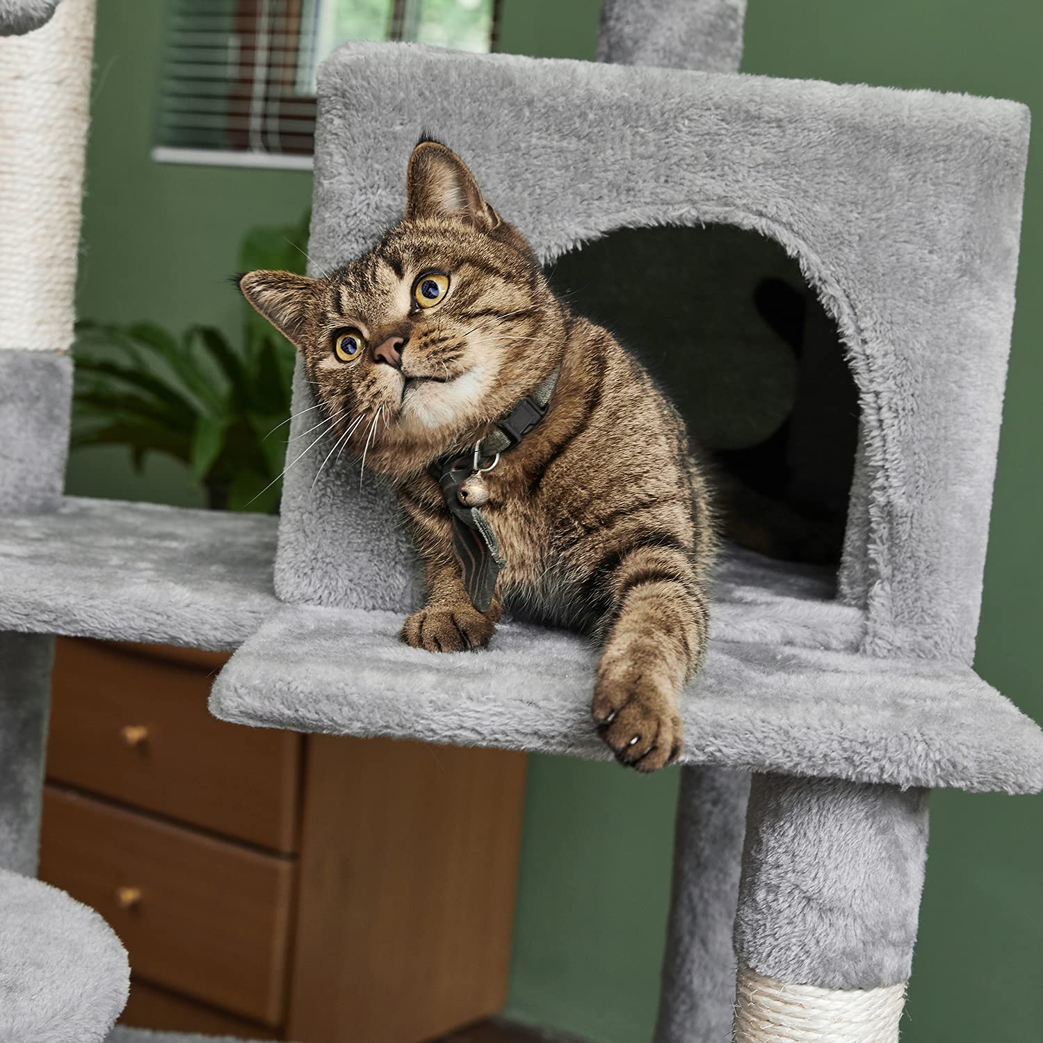 Catinsider 46.5 Inches Cat Tree Multi-Level Cat Tower With Sisal-Covered Scratching Posts, Plush Perches, Hammock And Condo For Cats Light Gray
