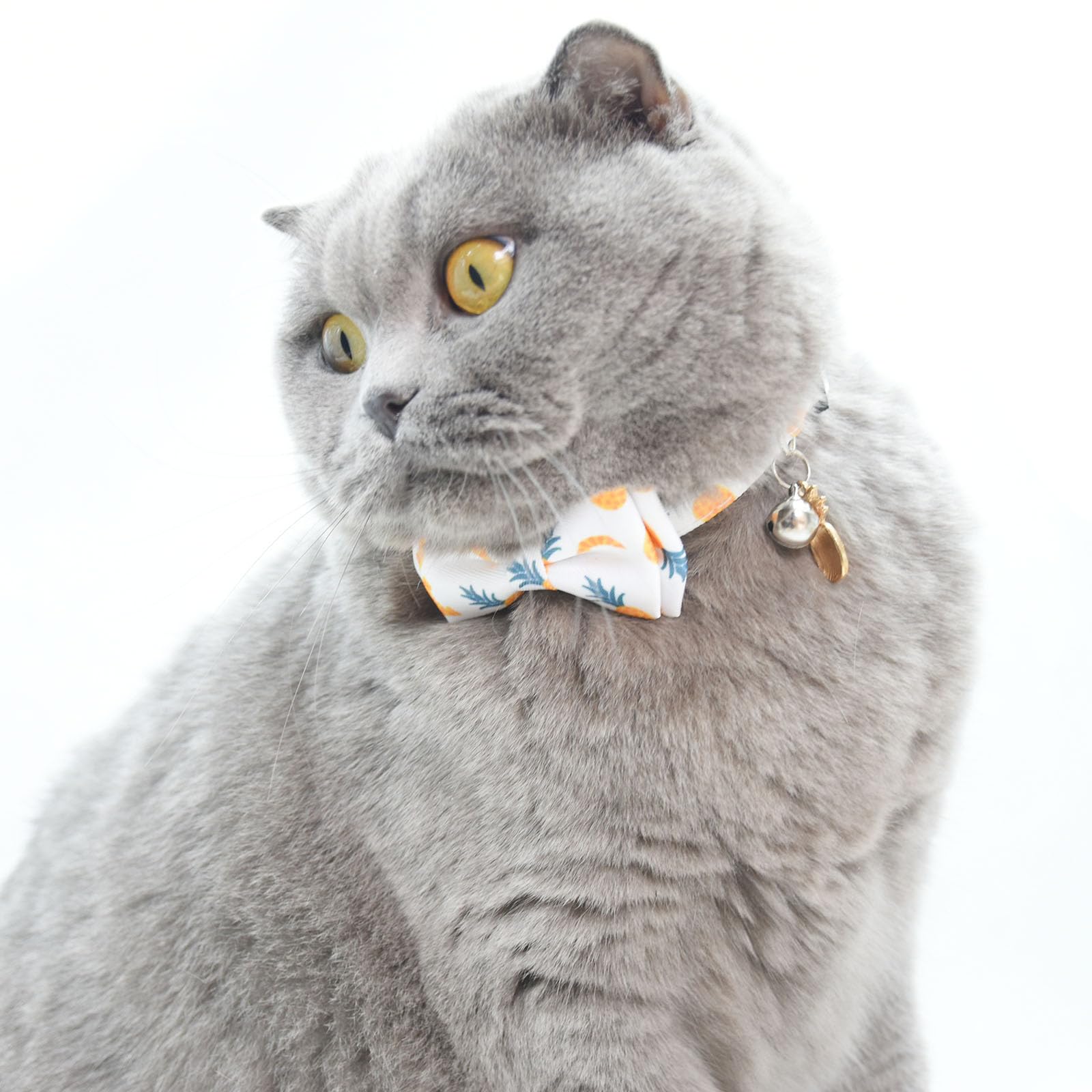 Bowtie Cat Collars Breakaway With Bell, Adjustable Cute Kitty Collars Safety Buckle Kitten Collar For Cat Puppy 7.5-11In (Pineap