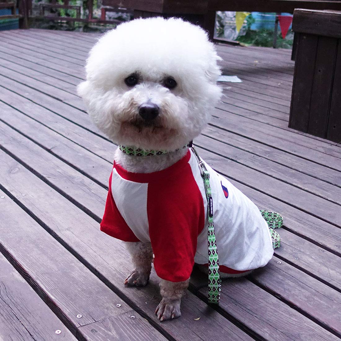 Azuza Dog Collar And Leash Set, Adjustable Nylon Collar With Matching Leash, Green Diamond For Medium Dogs