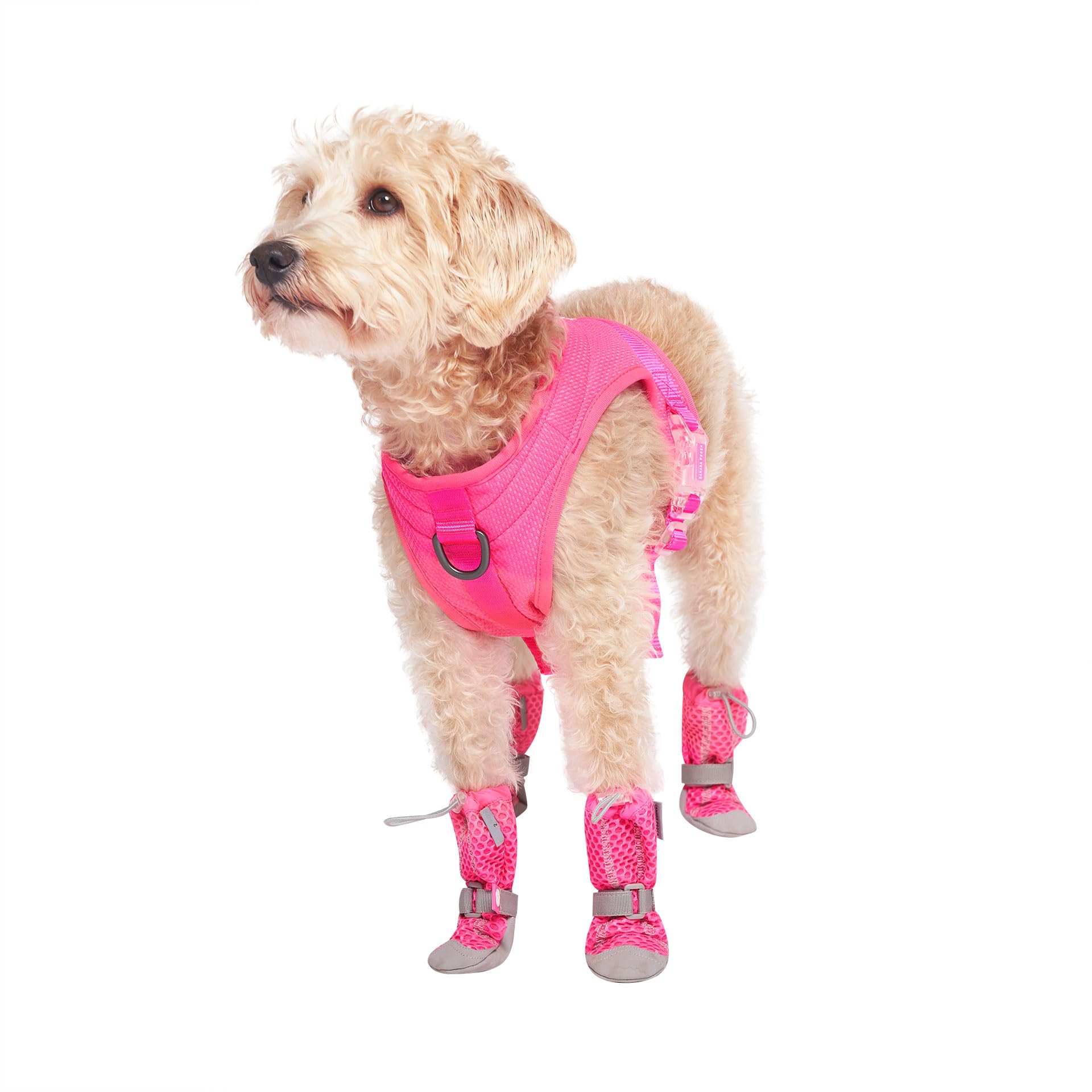 Canada Pooch Dog Boots For Hot Pavement - Dog Boots & Paw Protectors With Anti Slip Rubber | Water Friendly, Breathable Dog Shoe
