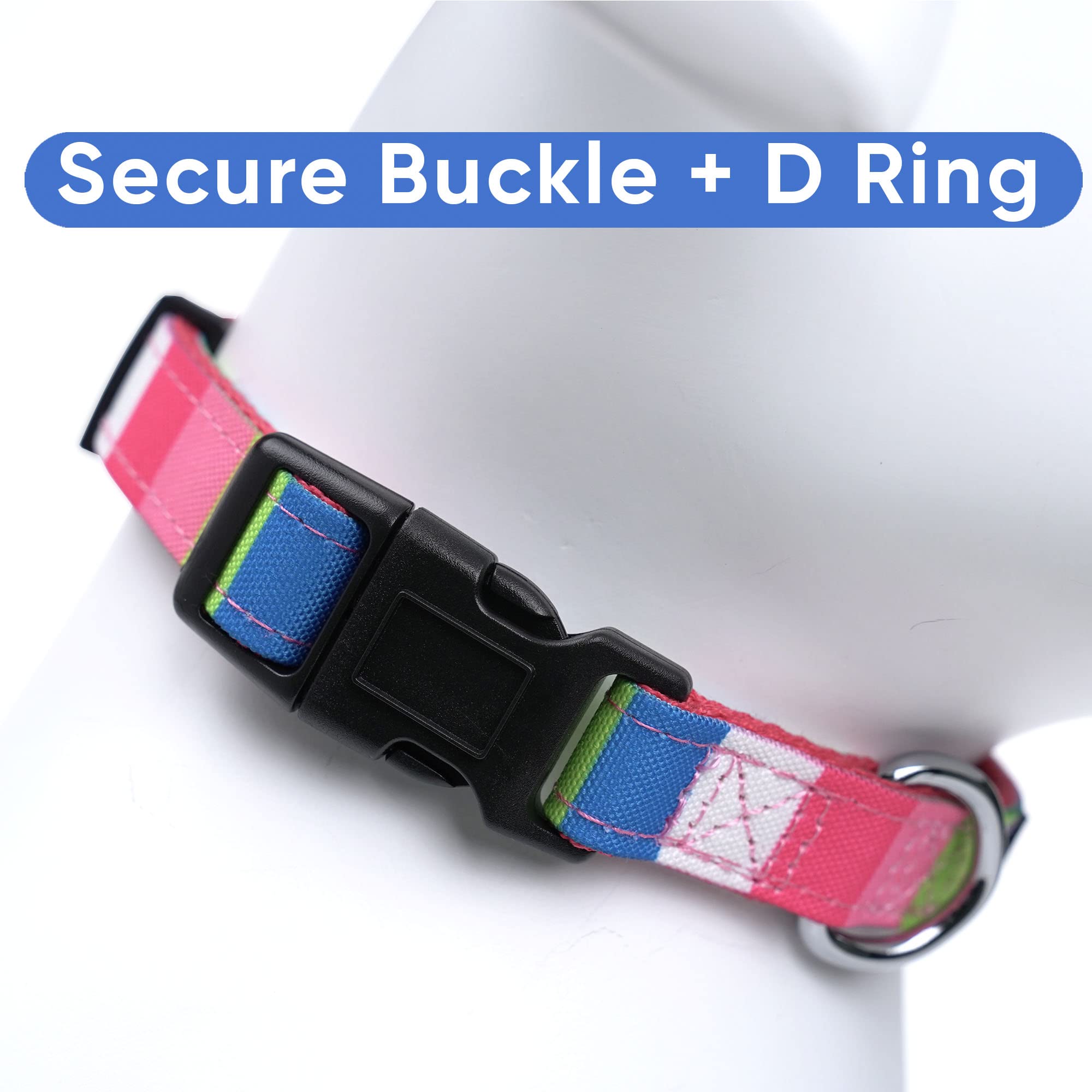 Pawtitas Multicolor Dog Collar Puppy Collar Pet Collar Multicolor Dog Collar Large Dog Collar White/Teal/Green/Pink Dog Collar