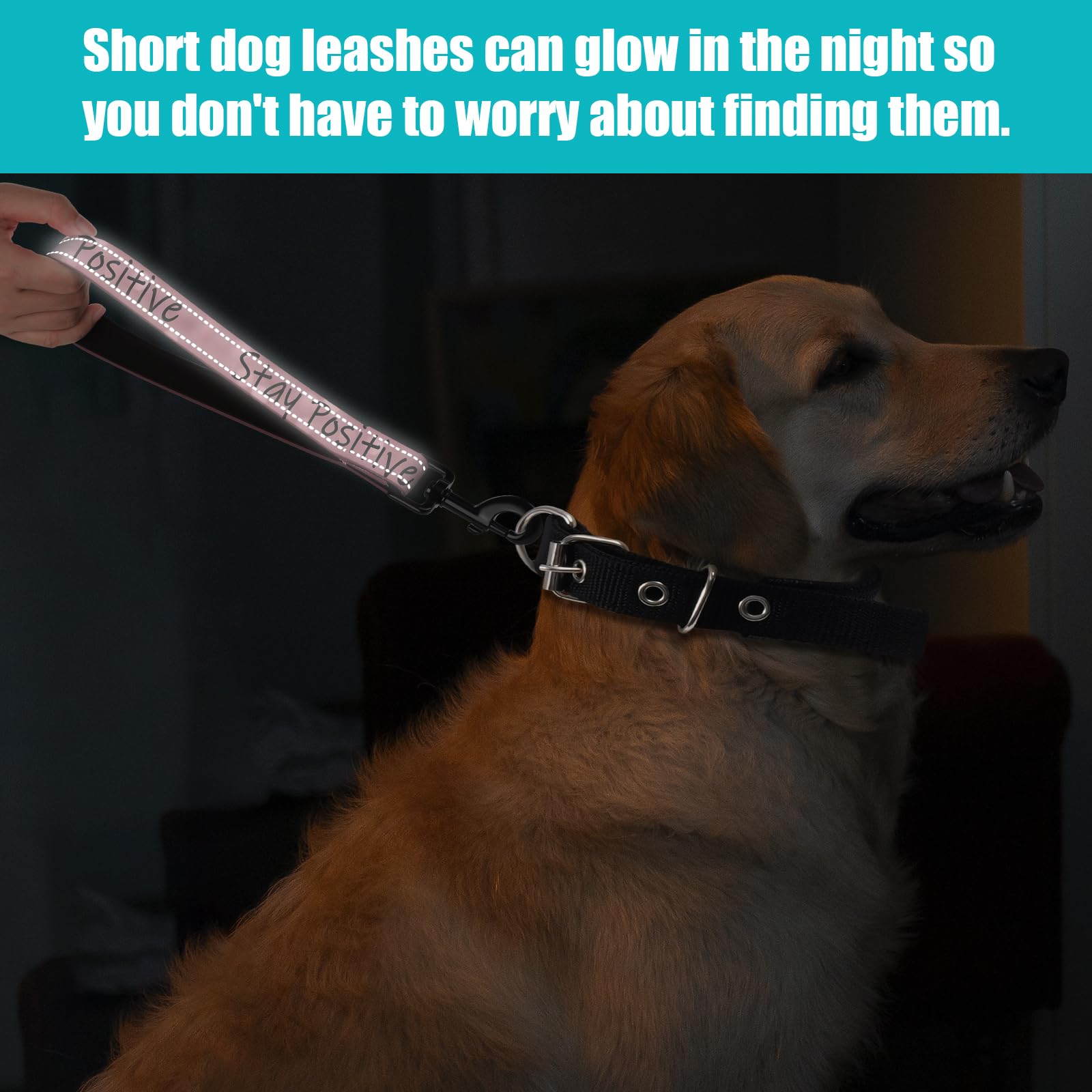 Stay Optimistic Nylon Short Dog Leash With Padded Handle - Reflective, Ideal For Training Control Of Large And Medium Dogs