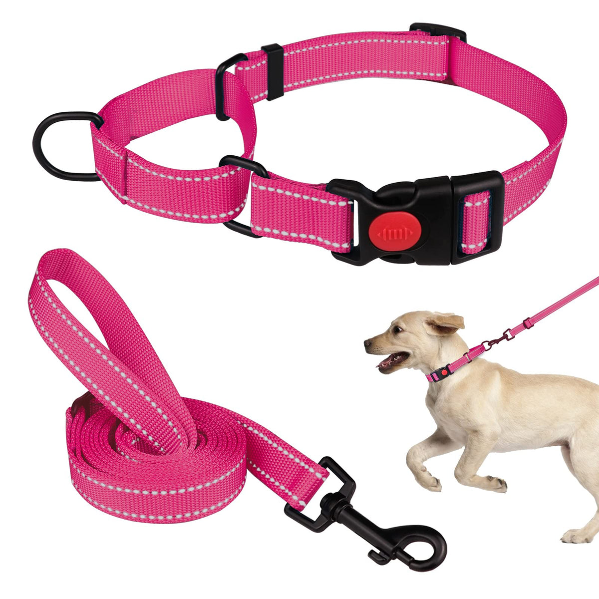 Martingale Dog Collar And Leash Set Martingale Collars For Dogs Reflective Martingale Collar For Small Medium Large Dogs(Hot Pin