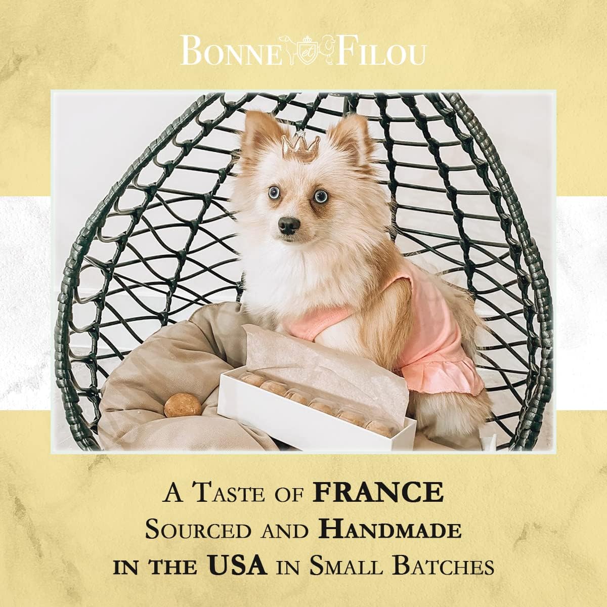 Dog Macarons - count of 6 (Dog Treats  Dog gifts)(D0102HIRLM7)
