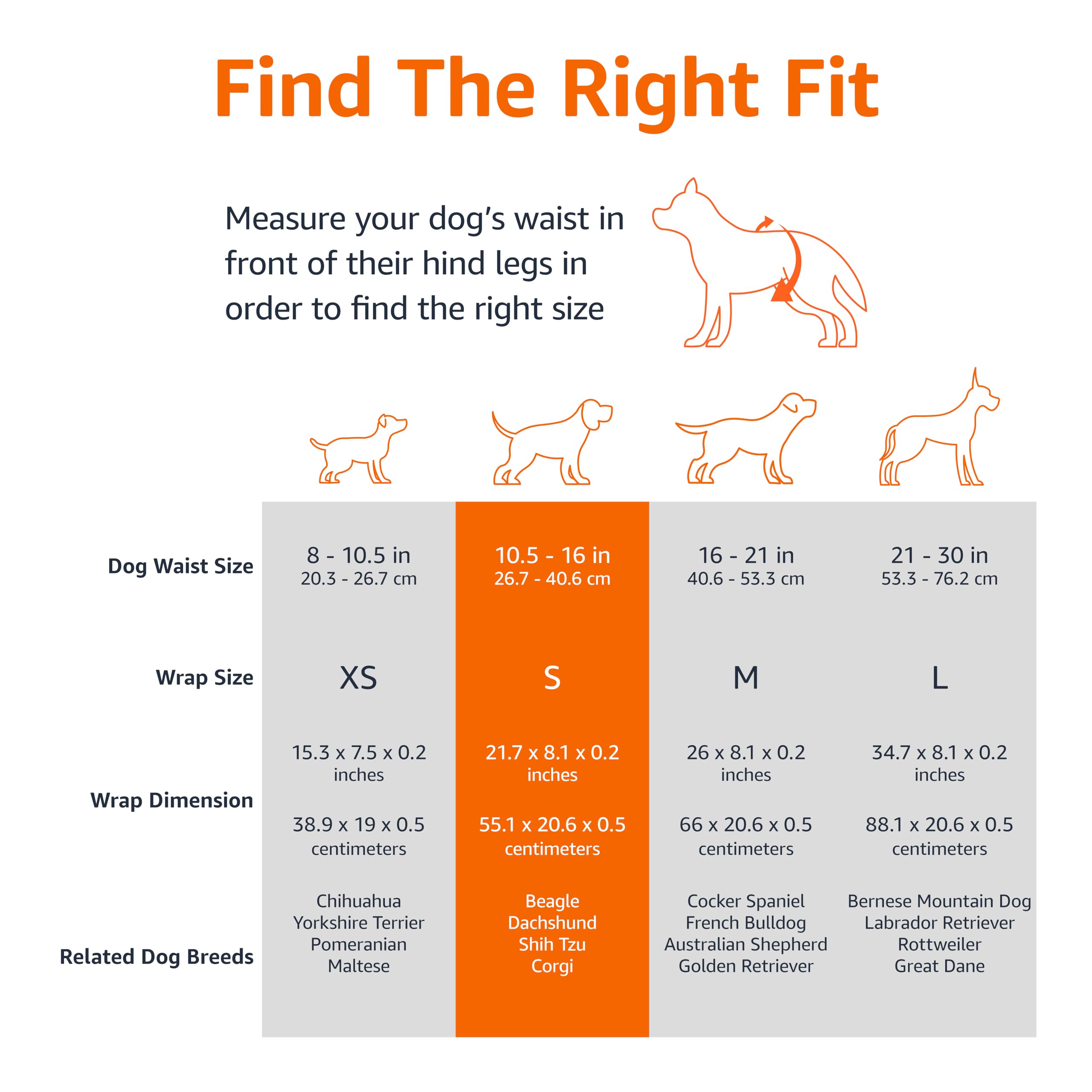 Amazon Basics Male Dog Diapers, 30 Count, Small, Ultra Absorbent Disposable Wrap With Secure Fit, Leakproof And Comfortable