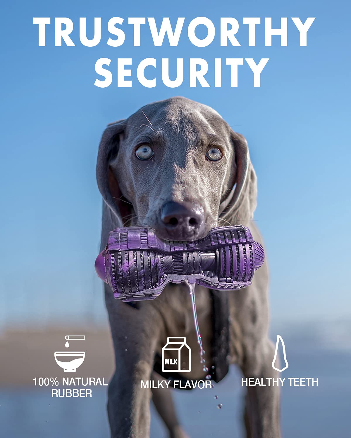 Fifthquarter Squeaky Dog Toys: Almost Indestructible Dog Toys For Aggressive Chewers Natural Rubber Tough And Durable Puppy Chew