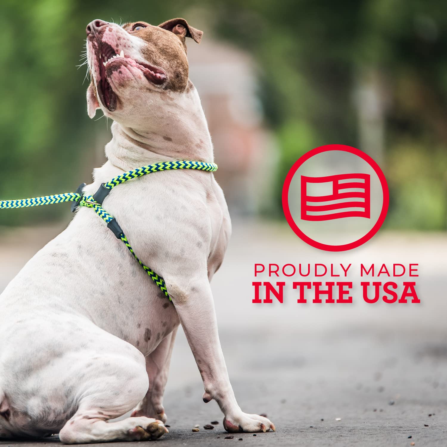 Harness Lead No Pull Dog Harness & Leash Set, Anti-Pull, Cushioned Rope, Small/Medium, Black/Reflective, for All Breeds 14-40 lbs