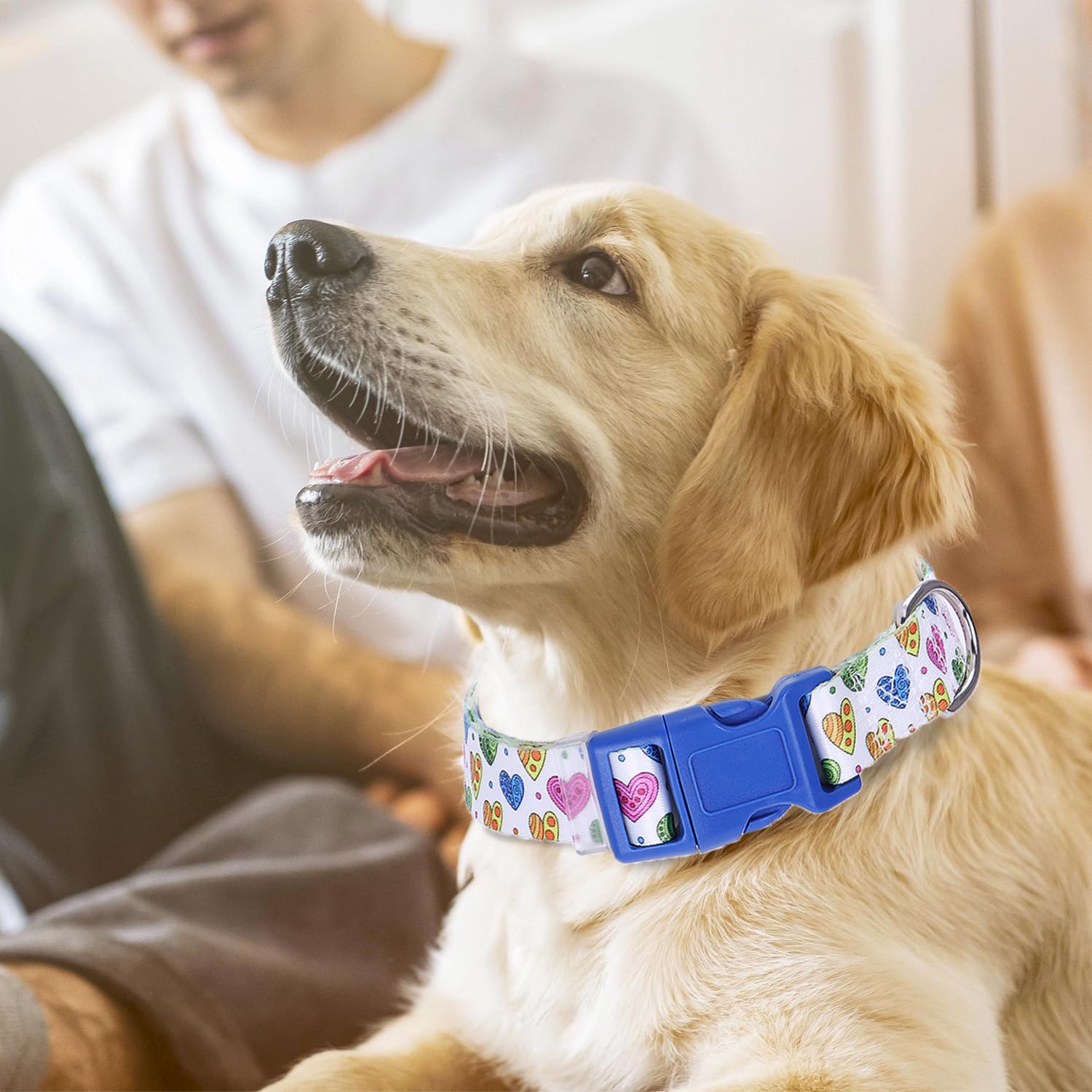 Valentines Dog Collar With Heart Patterns, Adjustable Nylon Comfy Soft Durable Pet Collar For Xs Small Medium Large Extra Large