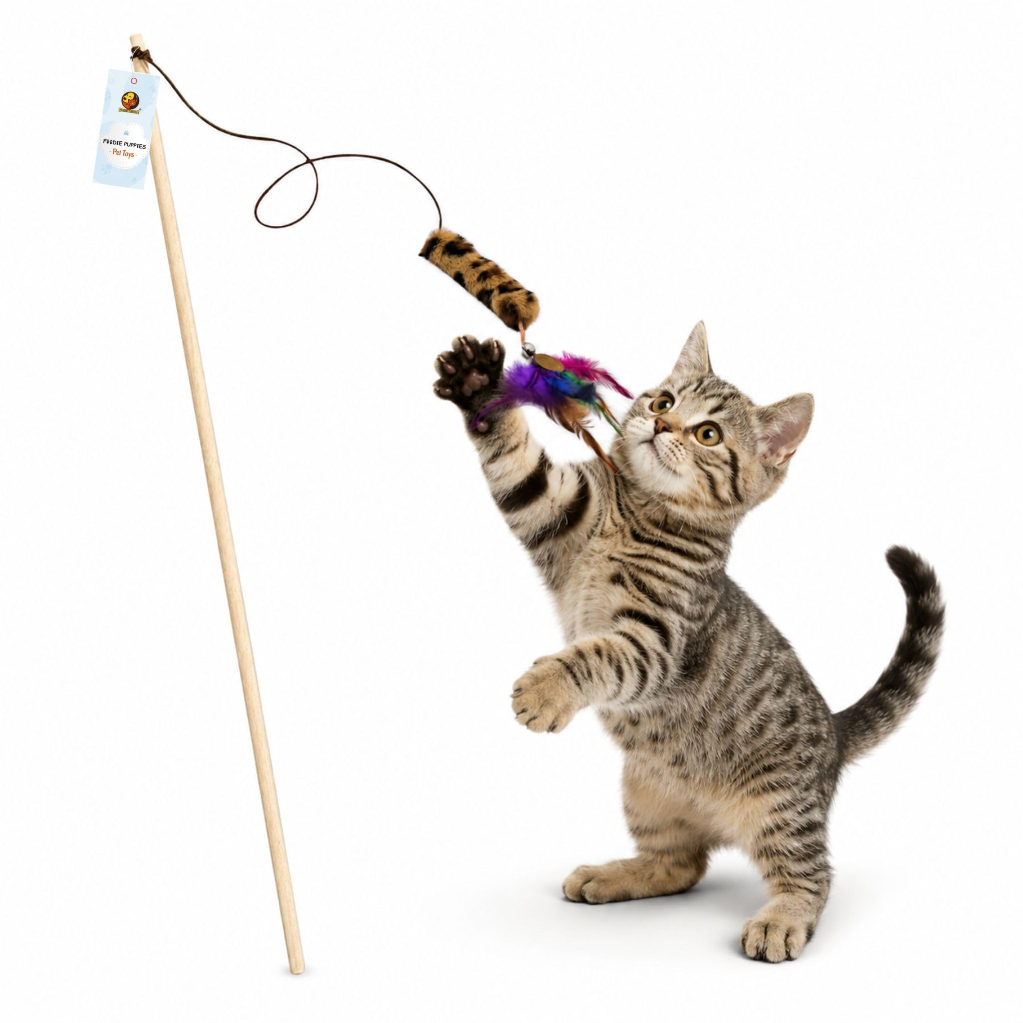 Foodie Puppies Interactive Wooden Teasing Stick With Funny Long Tassel  (Stripe Tail Teaser) | Teaser With Feather & Bell Suita