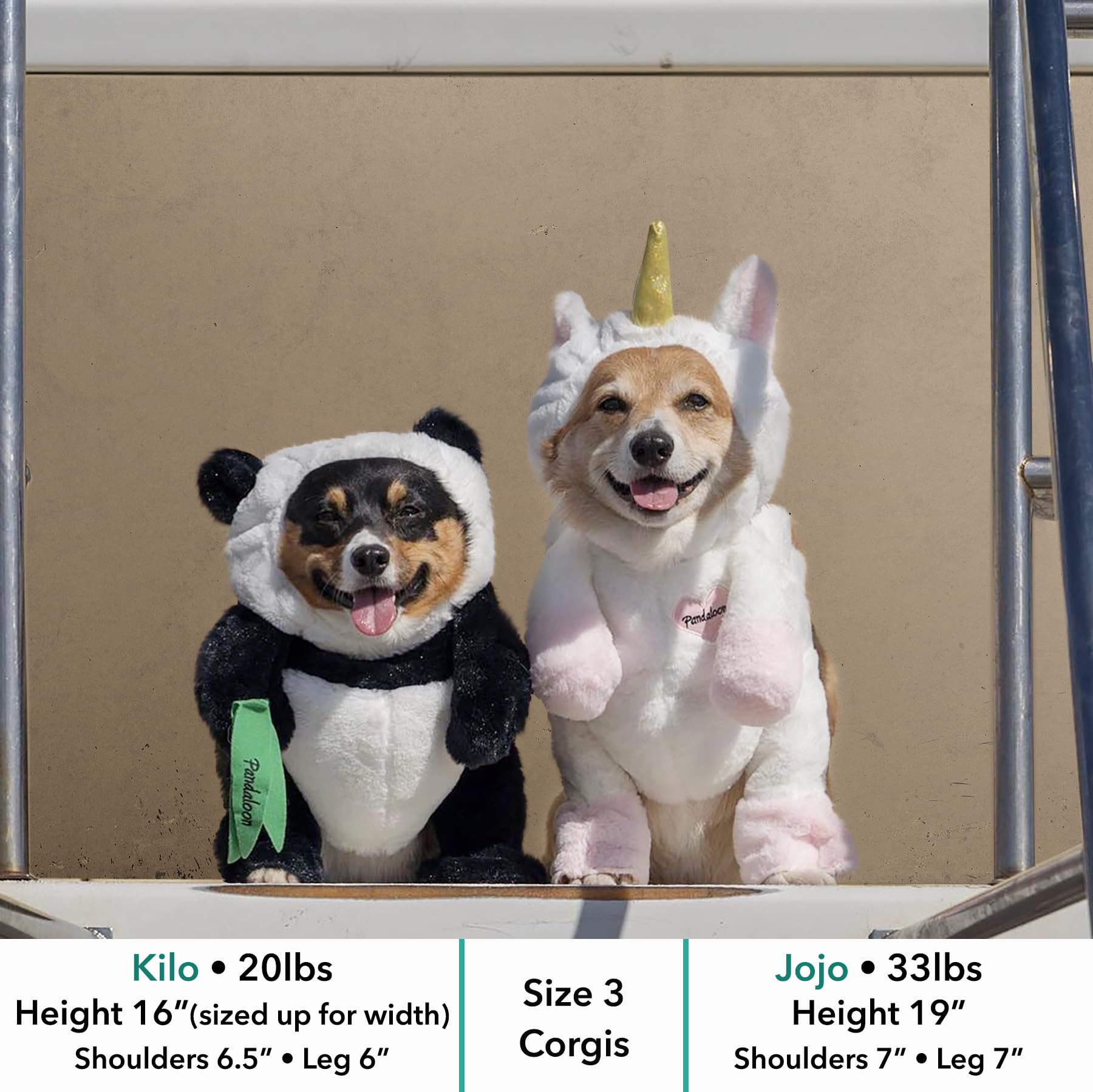 Pandaloon Dog Halloween Costume - Funny Panda Outfit for Small/Medium Dogs & Cats, Size 3 (17-19 in Height, Girth <22 in)