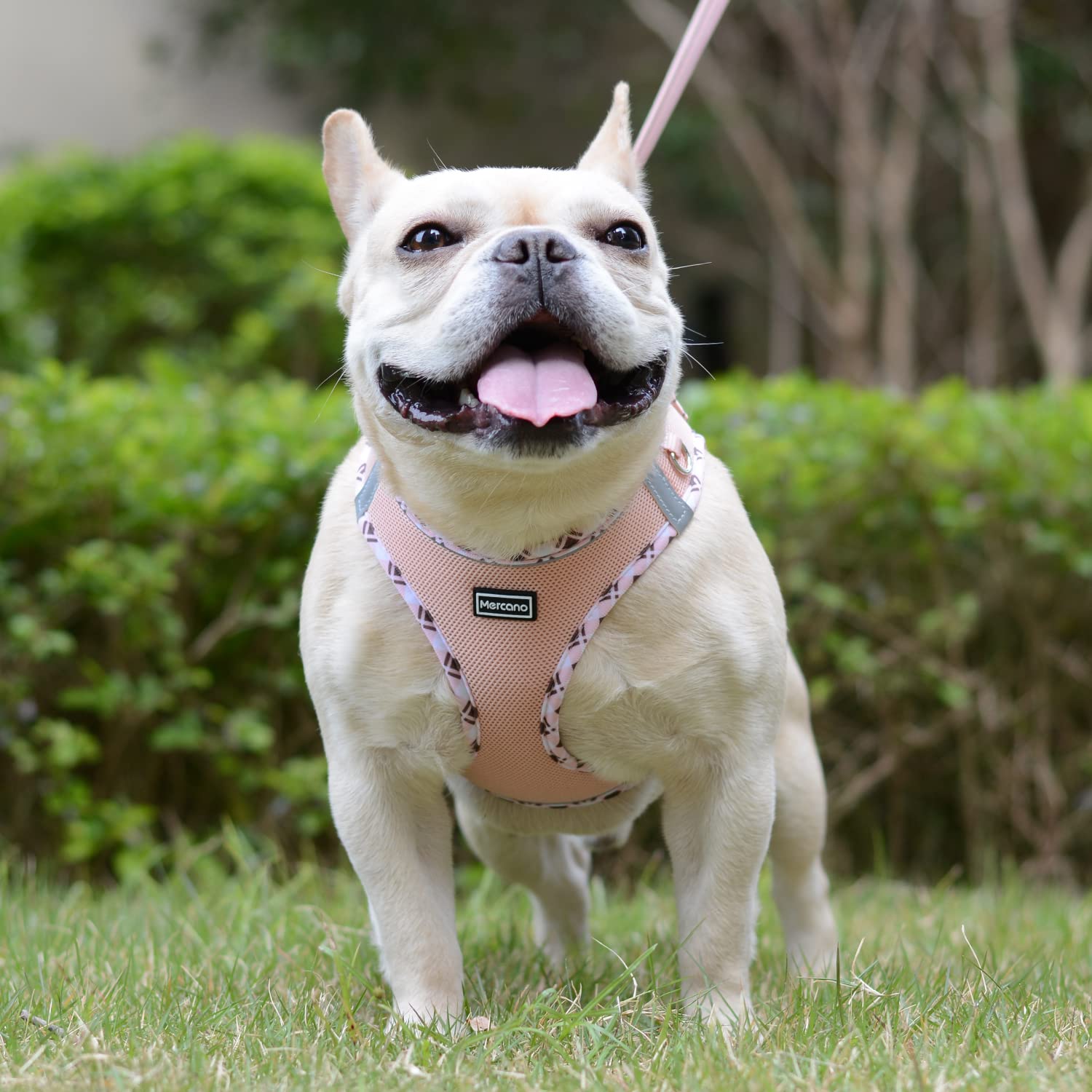 Mercano Soft Mesh Dog Harness and Leash Set, No-Chock Step-in Reflective Breathable Lightweight Easy Walk Vest Harnesses with Sa