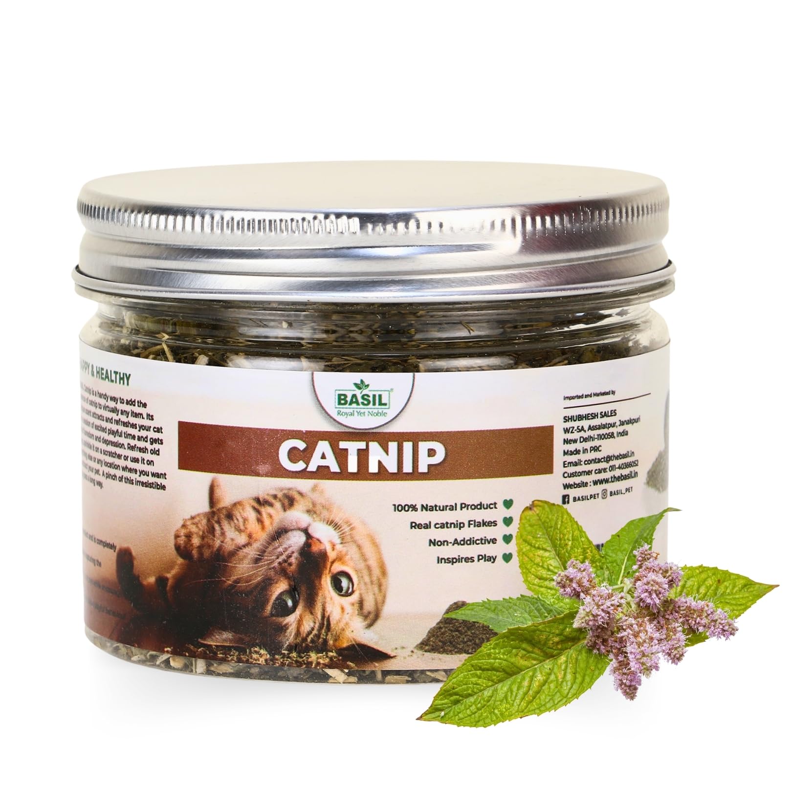 Basil Royal Yet Noble Catnip Jar | 100% Natural & Organic Catnip | NonAddictive & Safe | Used On Toys And Scratchpads | Stimula