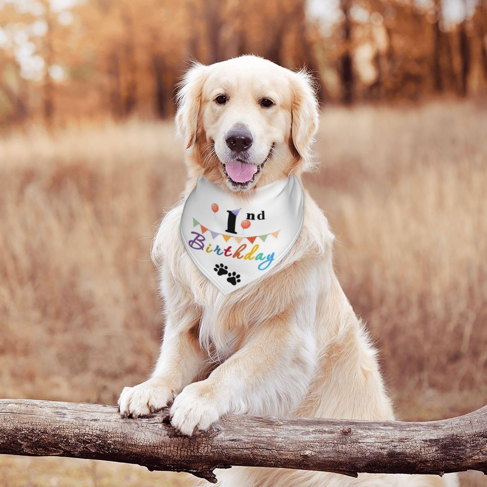 It'S My 1St Birthday Colorful Balloons Dog Bandana Scarf Triangle Bibs Pet Accessories Cat Kerchief