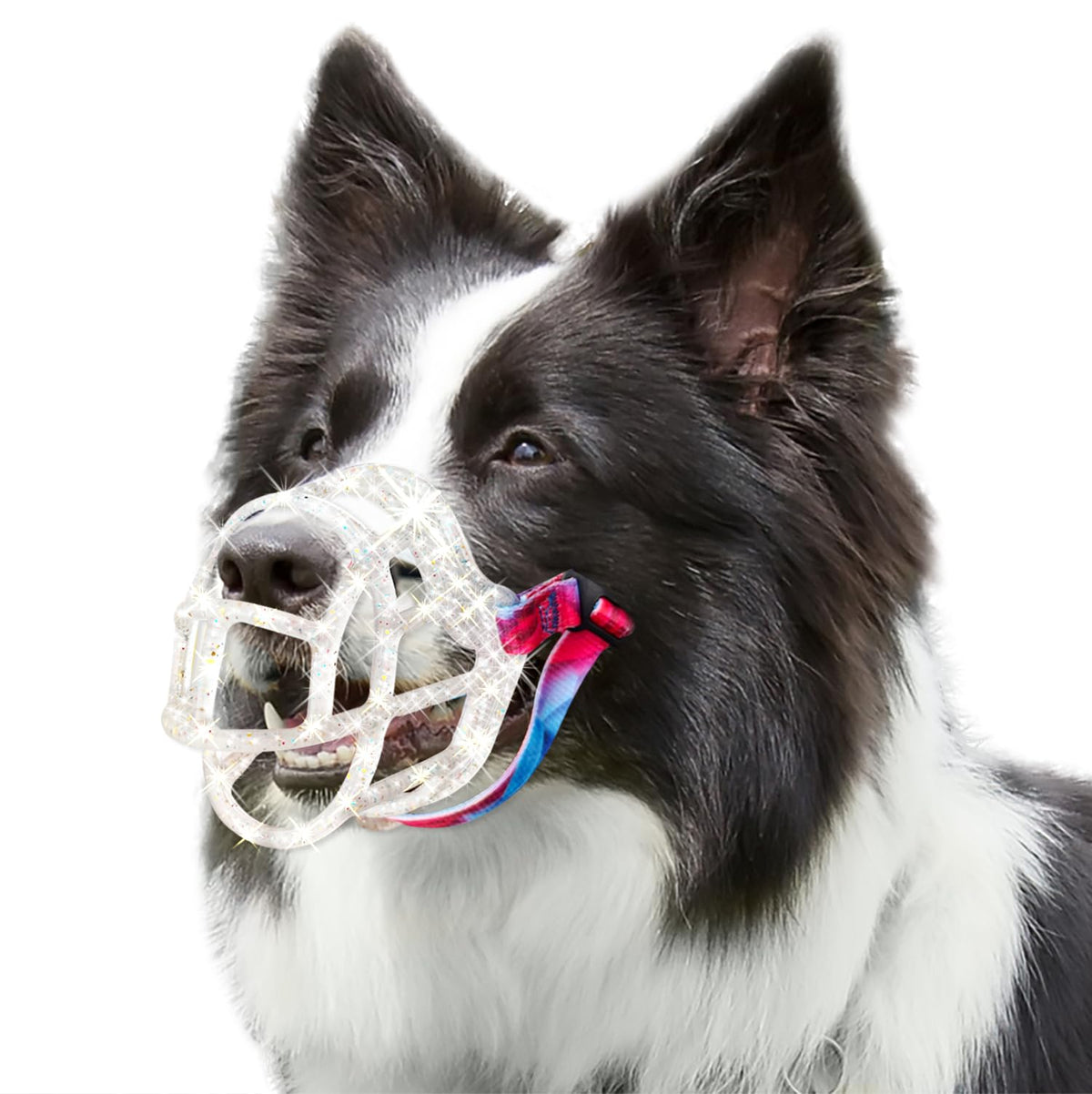 Okkic Basket Muzzle - Anti Biting Chewing, Sturdy Lightweight Allows Panting Drinking, Suitable For Grooming Trimming Training -