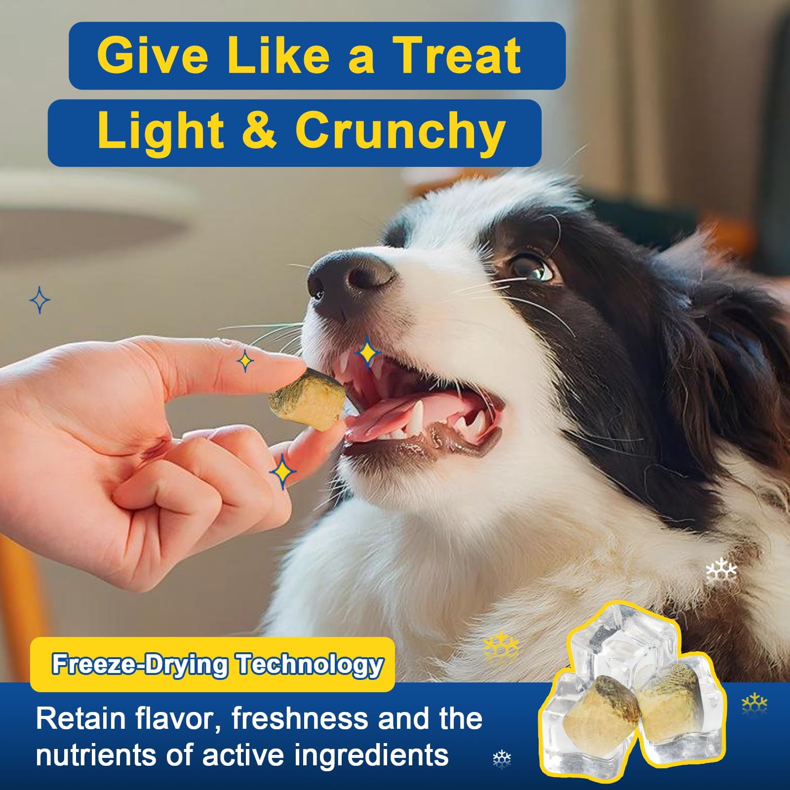 Dog Allergy Relief Chews, Itch Relief for Dogs, Colostrum, Probiotics for Dogs Support Immunity, Omega 3, Honey for Dry & Itchy