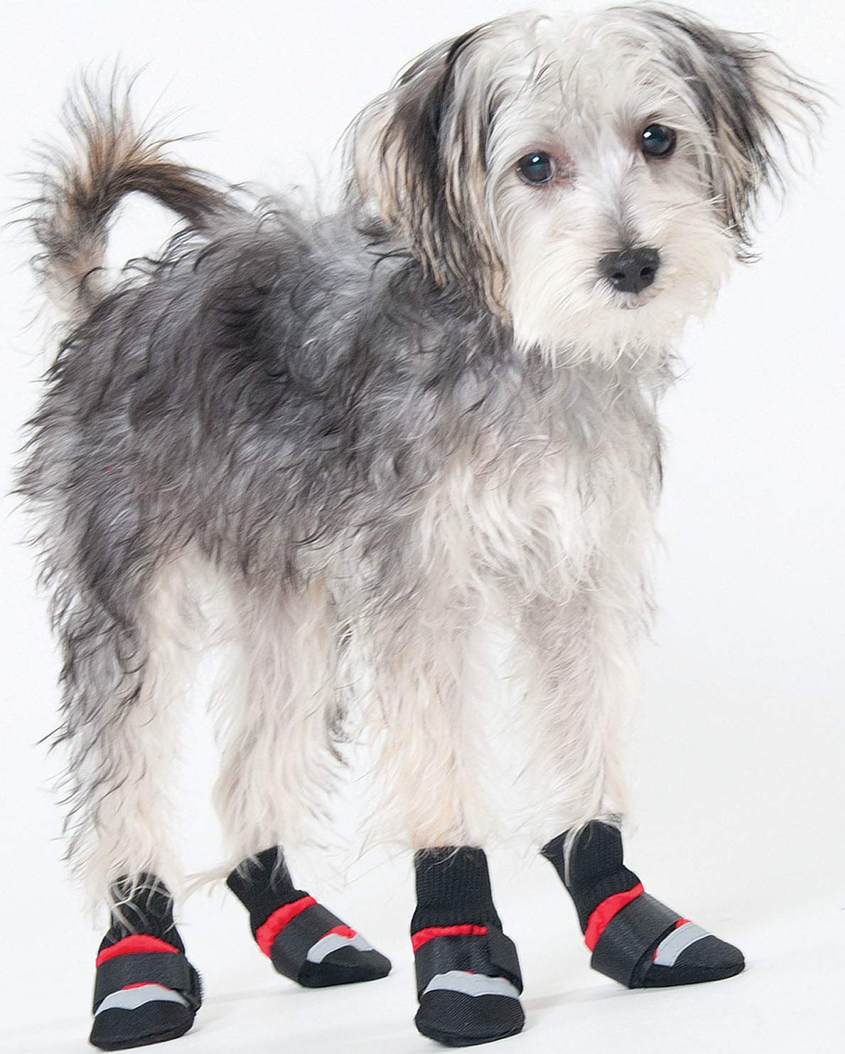 Fashion Pet Lookin Good Extreme All Weather Boots For Dogs, X-Large, Red