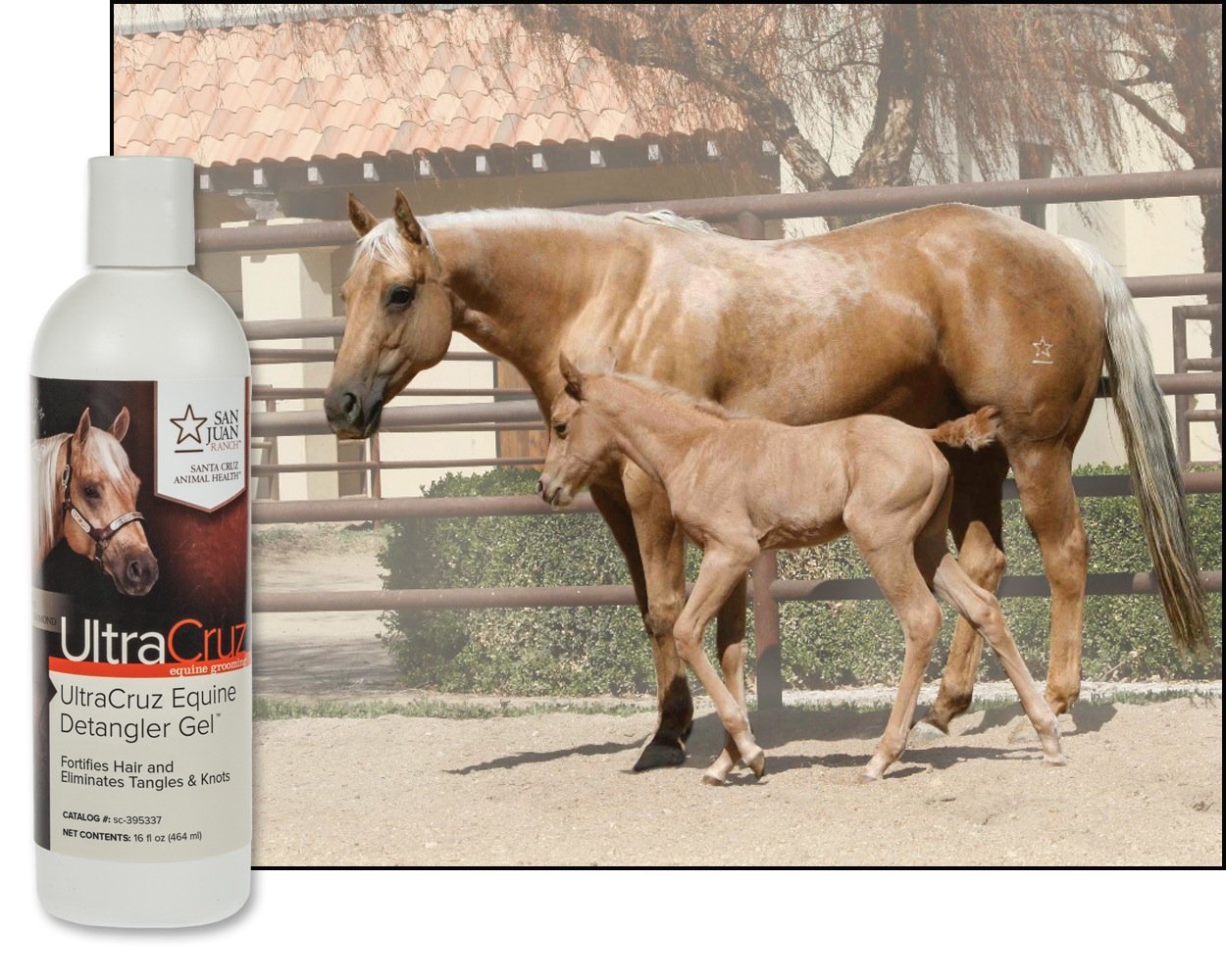 Ultracruz - Sc-395337 Equine Detangler Gel For Horses, 16 Oz