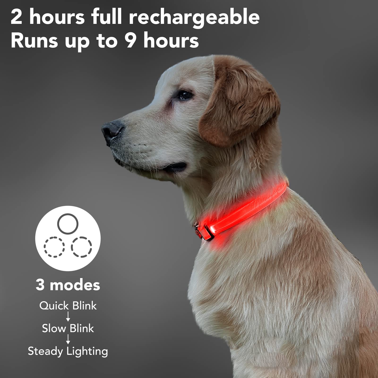 Pzrlit Led Light Up Dog Collars Micro Usb Rechargeable Waterproof, Full Adjustable Lighted Glow Dark Dog Collar Light For Night