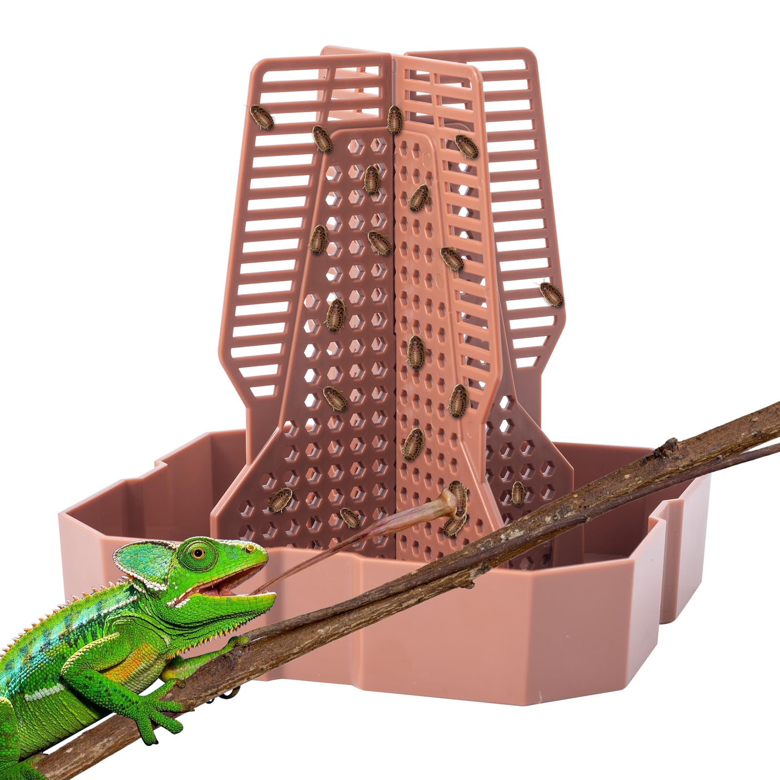 Reptile Feeder Bowls With Climbing Ladder For Chameleon,Bearded Dragon,Guardians Hunting Bugs Keep Training Terrarium Bowls For 